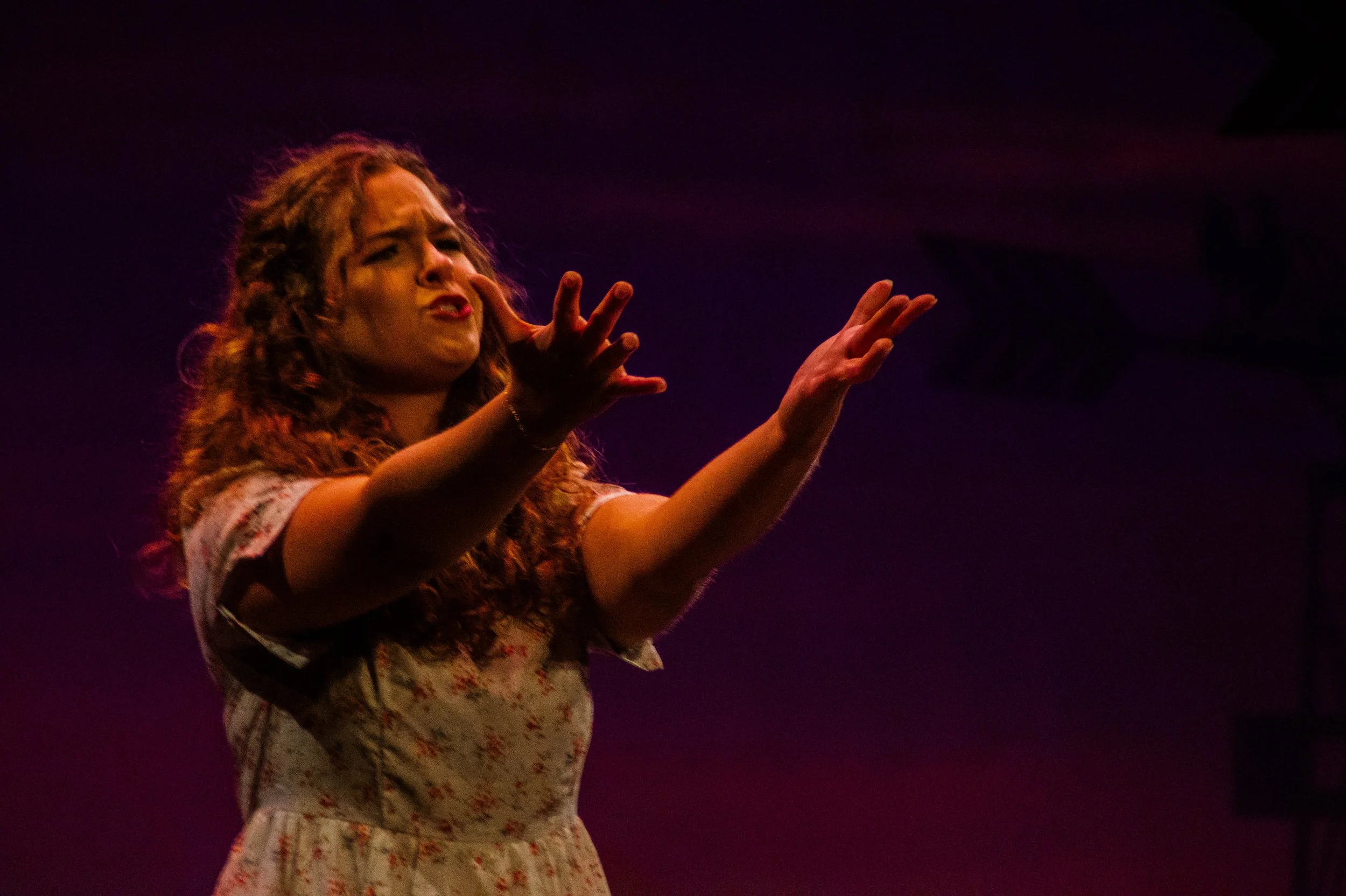 The Tenderland, Laurie, Ozark Lyric Opera, 2024