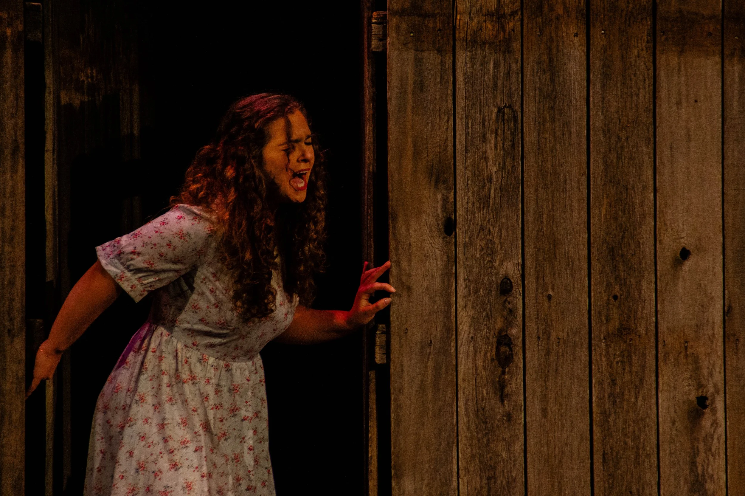 The Tenderland, Laurie, Ozark Lyric Opera, 2024