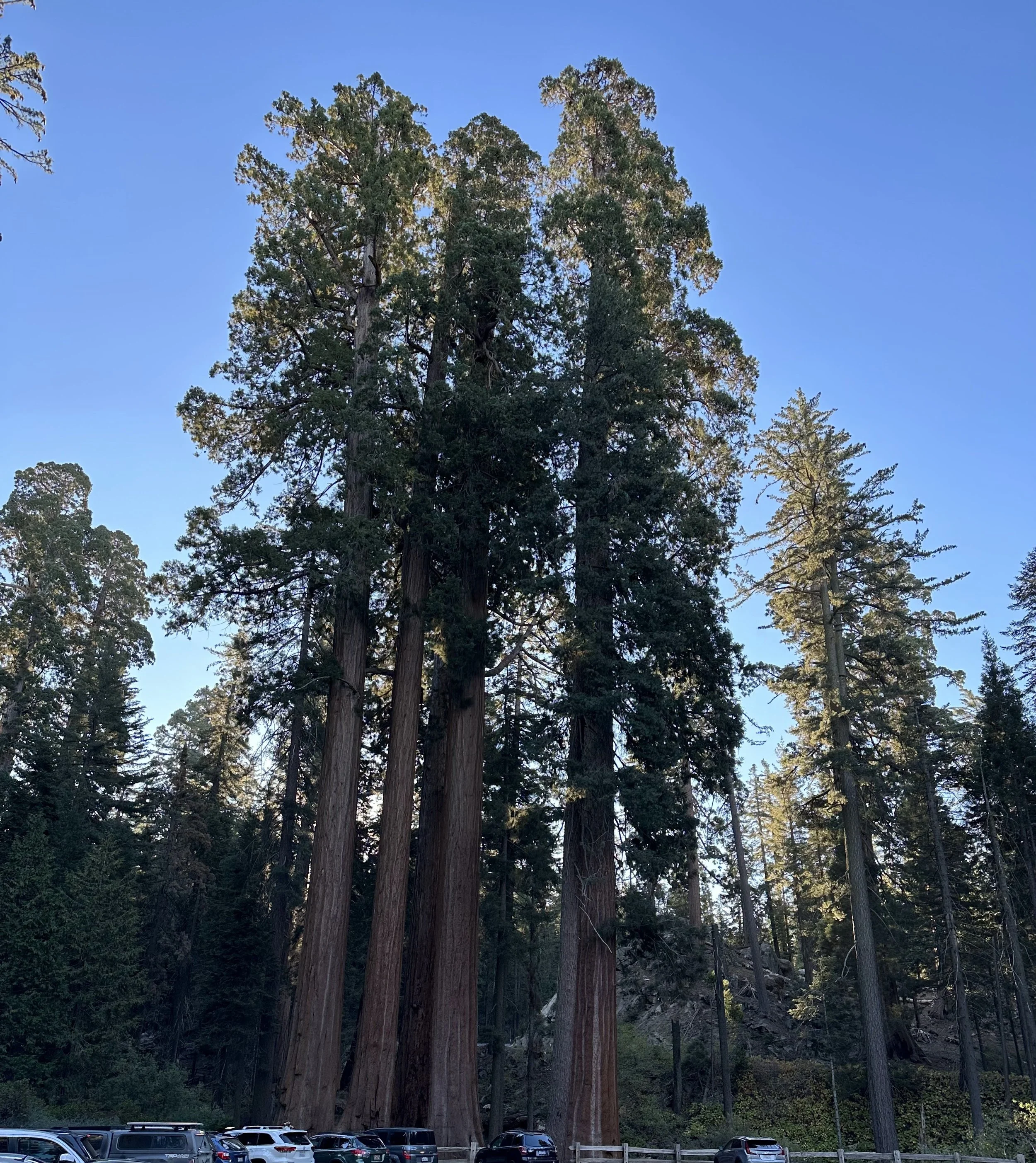 Kings Canyon National Park
