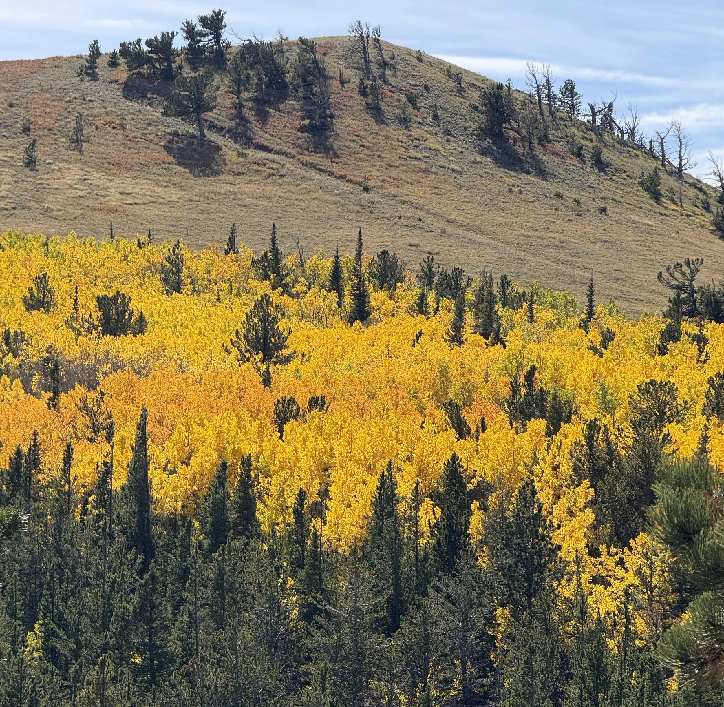 Near Ward, west of Boulder