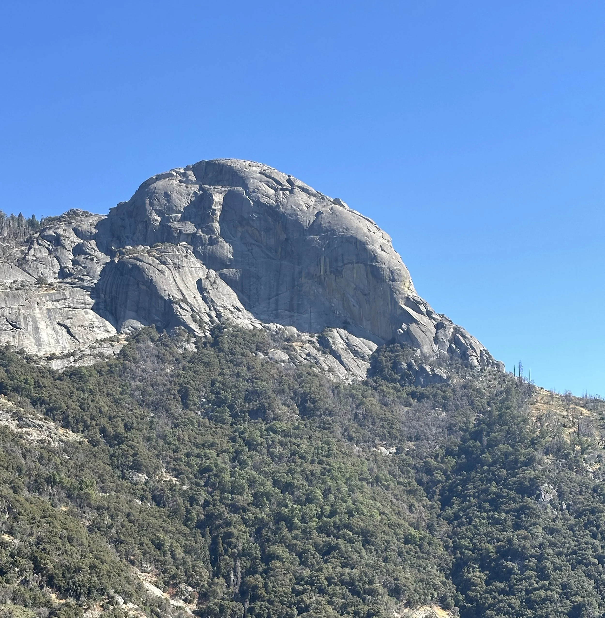 Sequoia National Park