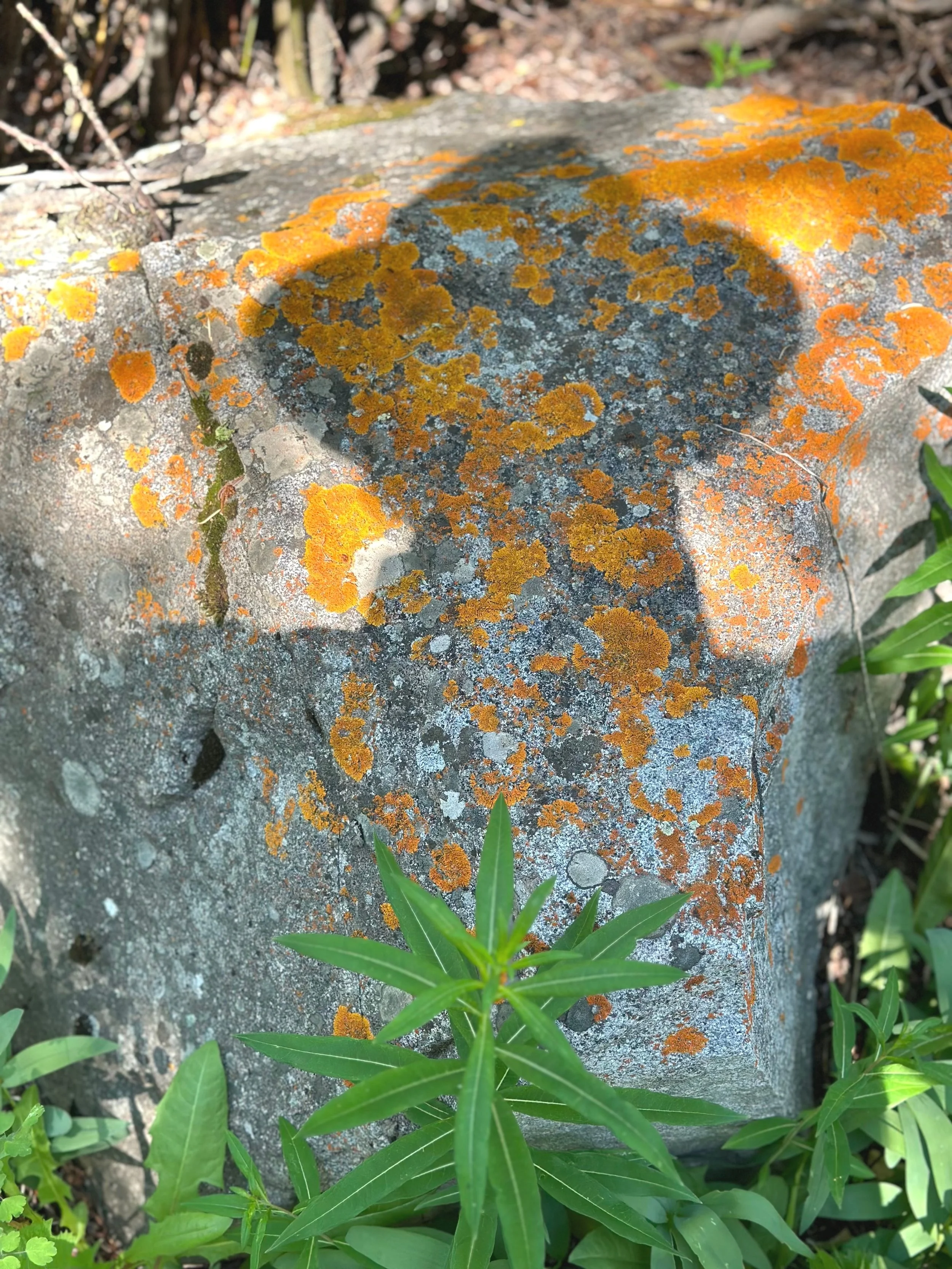 Jim's shadow at Maroon Bells