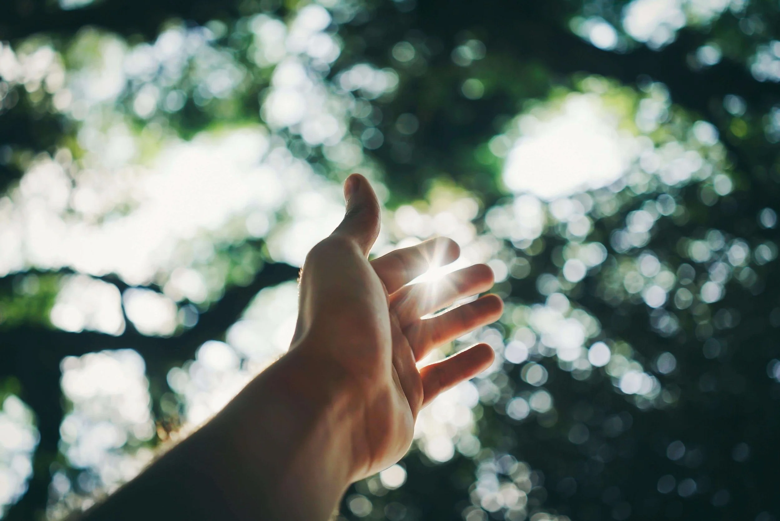 Become a Pioneer | Leading Corporate Activism with Nature and Future ...