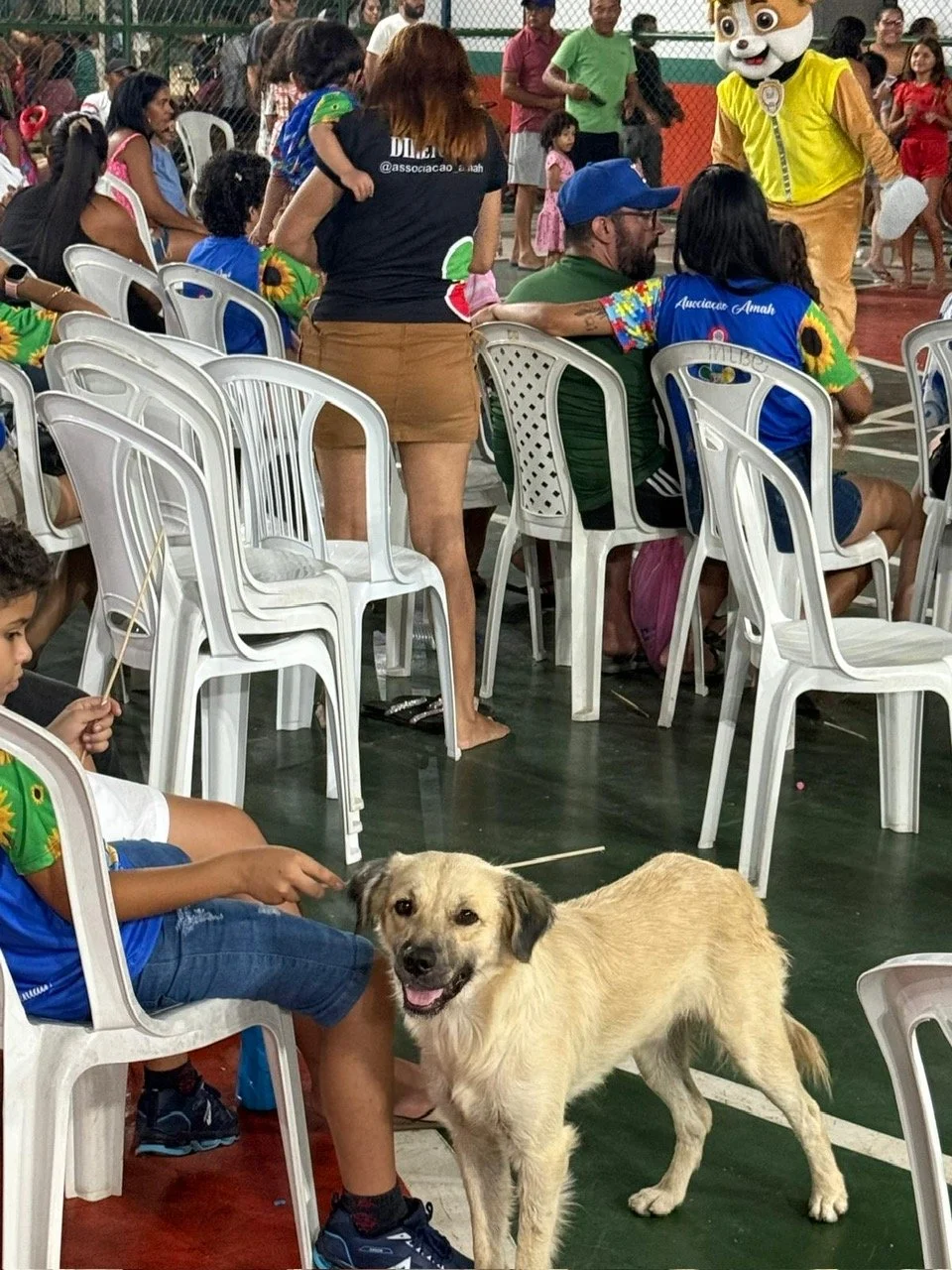 We are excited to have a friendly dog here joining in the Children's Day celebrations! The dog has been enjoying the fun atmosphere and bringing smiles to the children throughout the event.