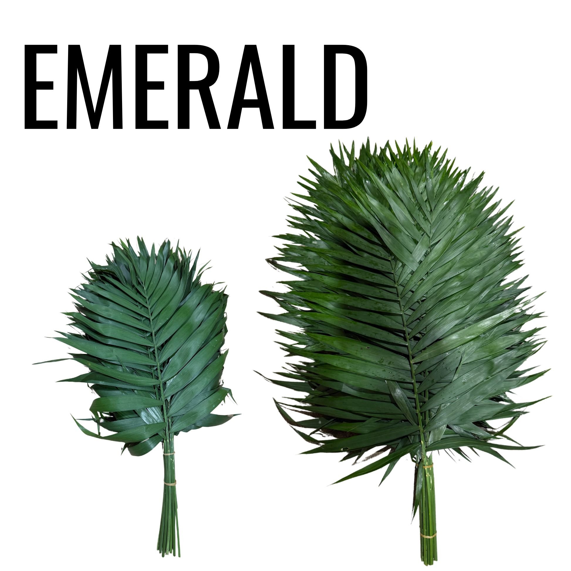 EMERALD.jpg