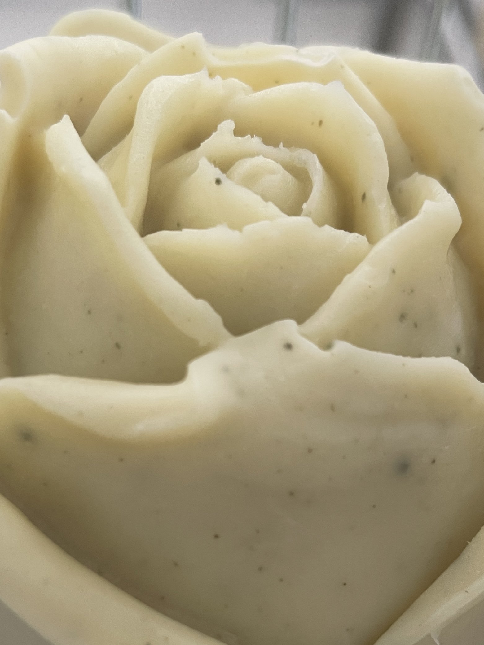 2.Big rose Verbena & Lemon.JPG