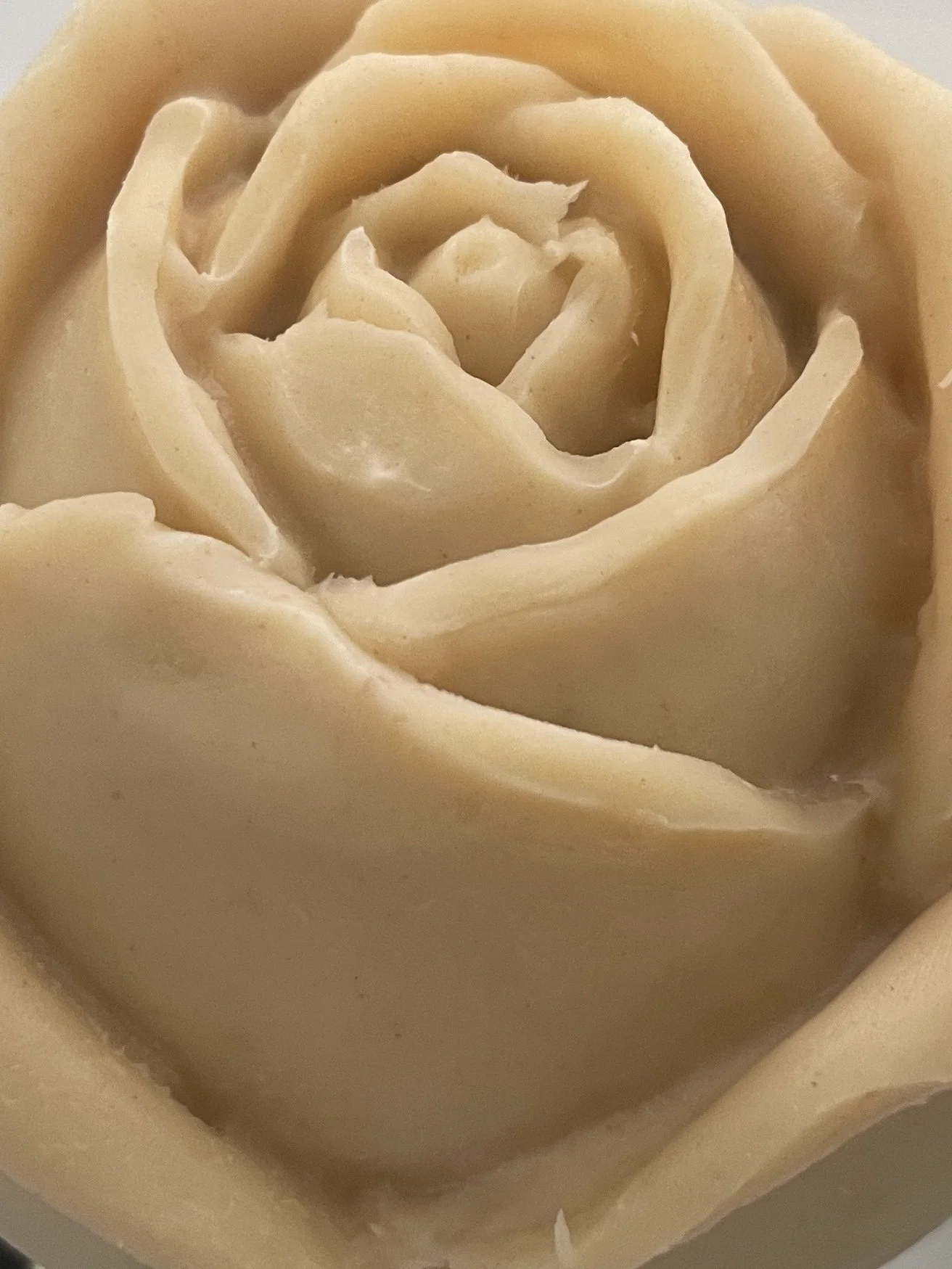 2.Orange blossom big rose.JPG