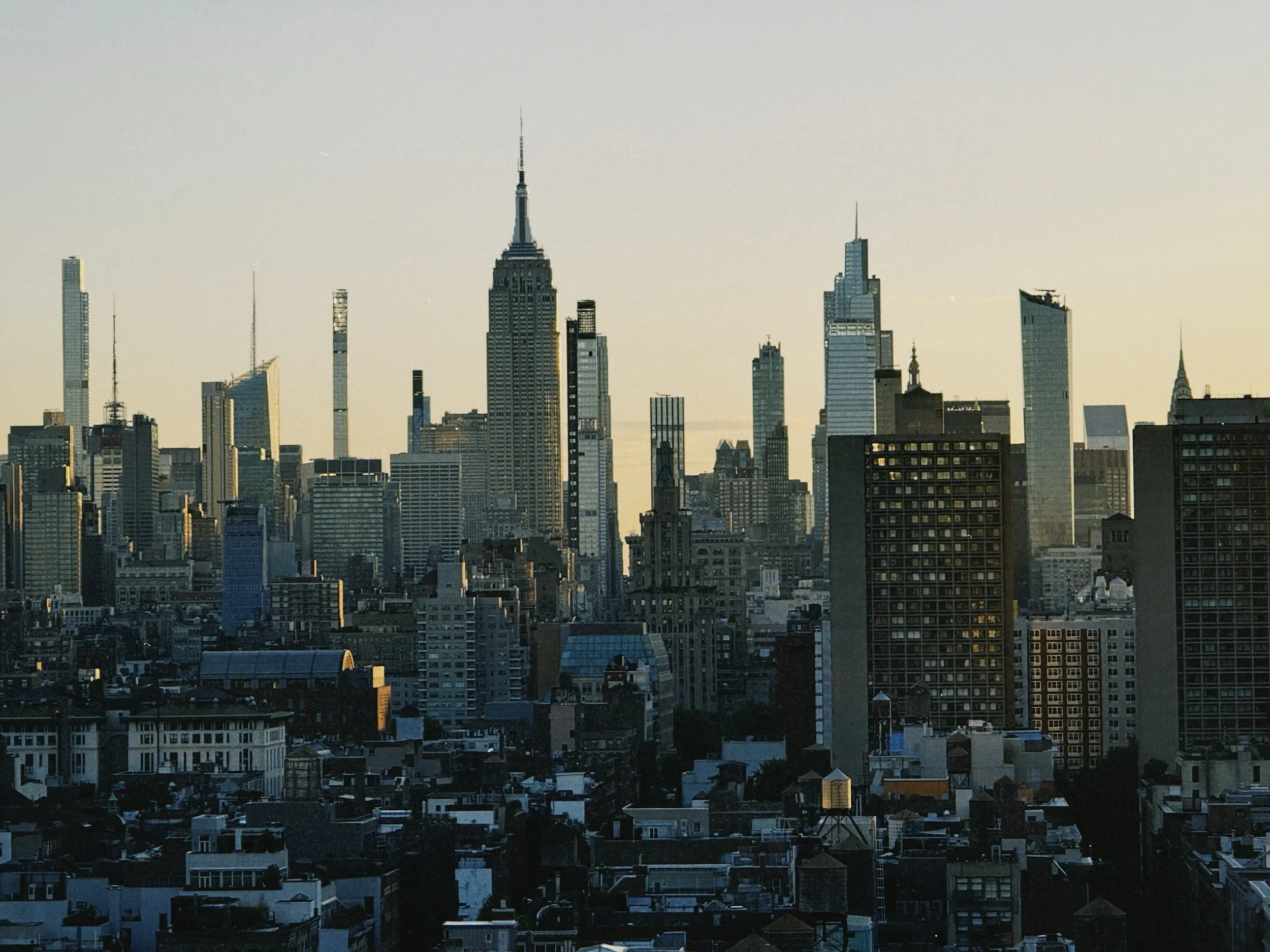 the concrete jungle