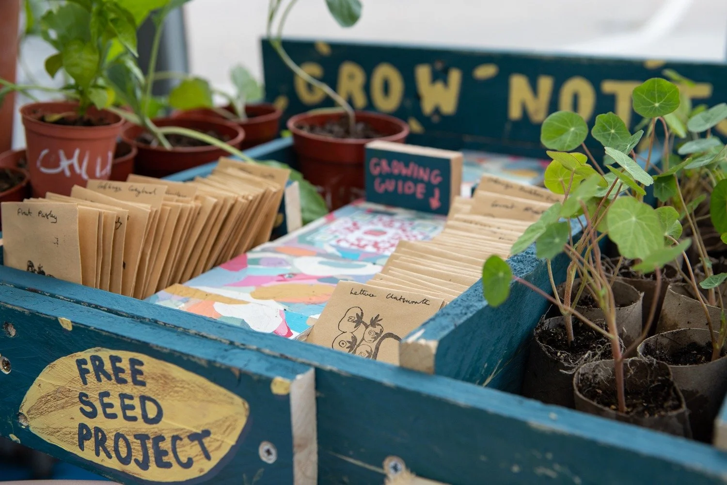 A blue wooden stand labeled 'Free Seed Project' holds paper packets of seeds, small potted plants, and gardening supplies at a community gardening event.