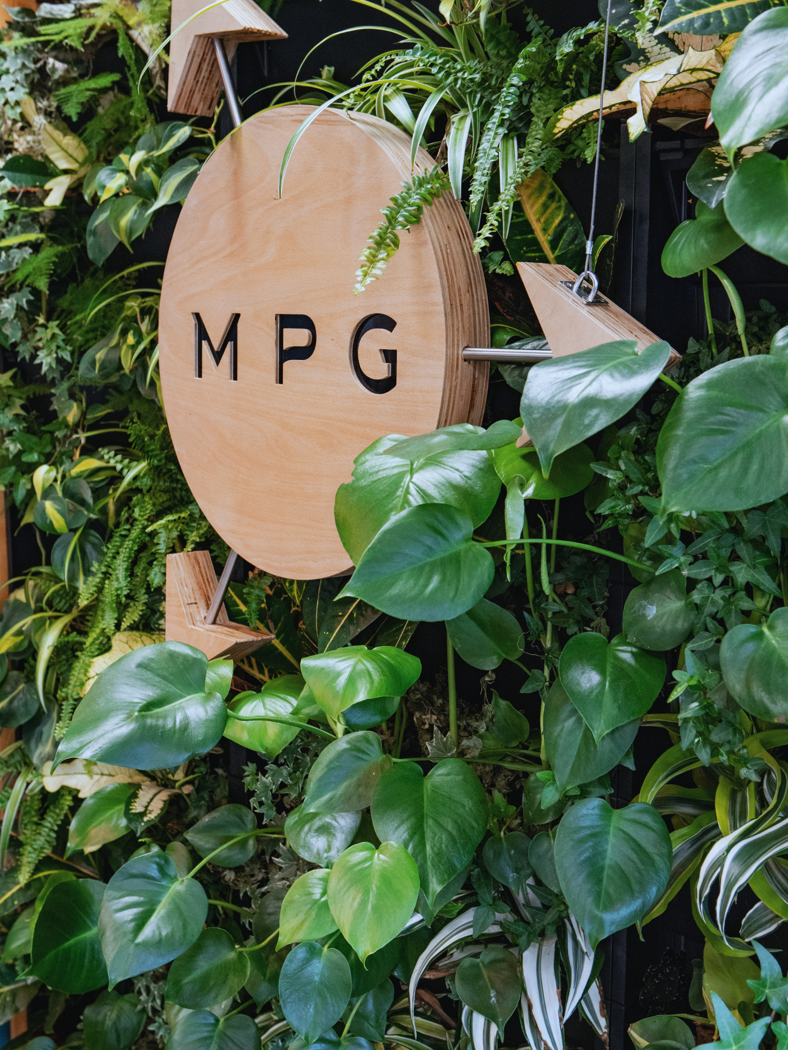 Wooden circular sign with black cutout letters 'MPG' surrounded by lush green indoor plants.