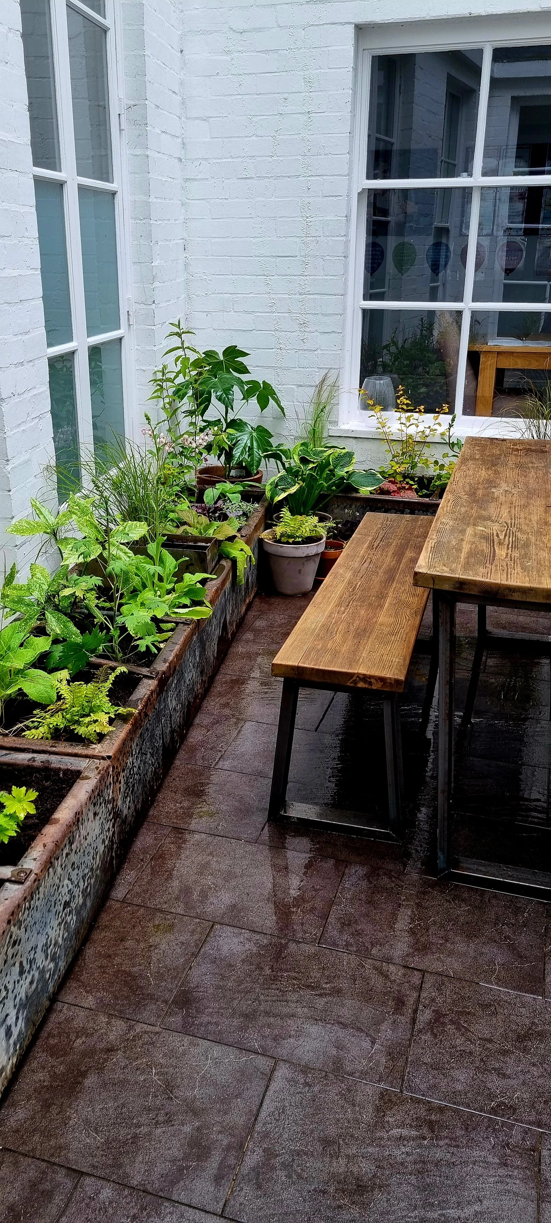 Indoor patio with white brick walls, large windows, a wooden table, a matching bench, and a garden bed with various green plants.