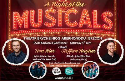 Night at the Musicals (Aloud Charity Concert)