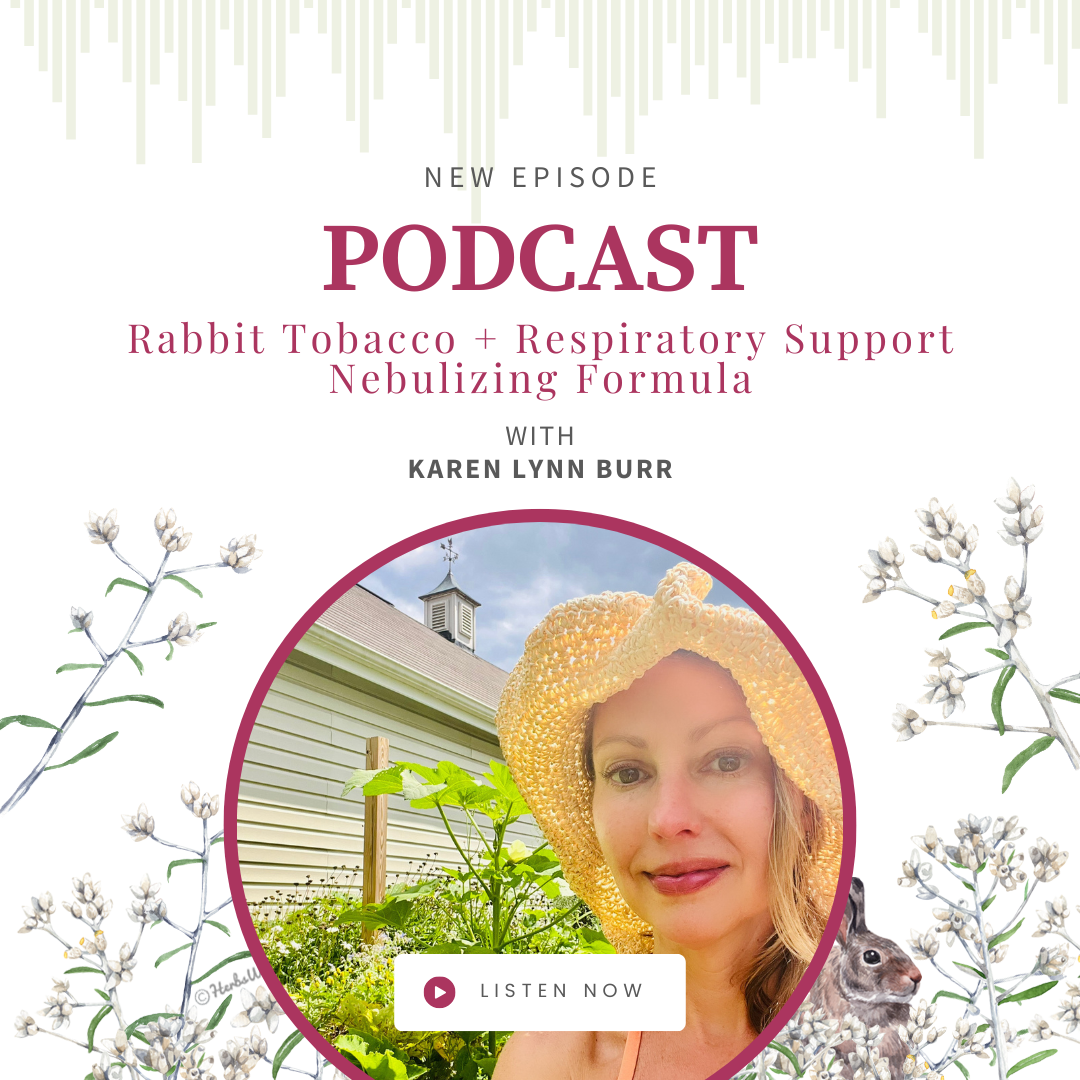 Herbs with Rosalee

This one is close to my heart. I shared the story of rabbit tobacco, a native North American plant that most people walk right past, and how it became one of my most trusted allies after a serious respiratory health crisis. We als