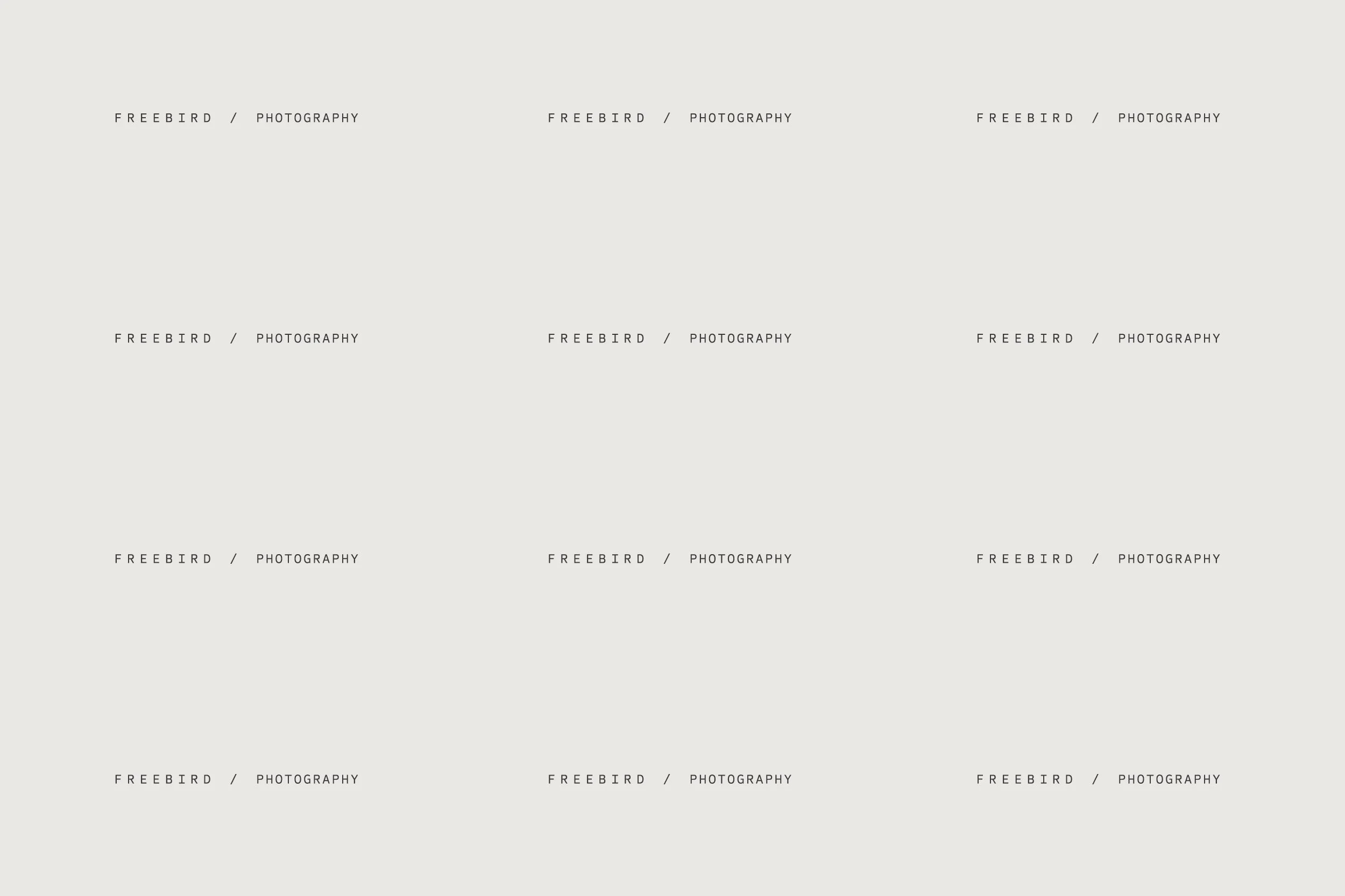 Freebird-Portfolio-2025-Pattern.jpg