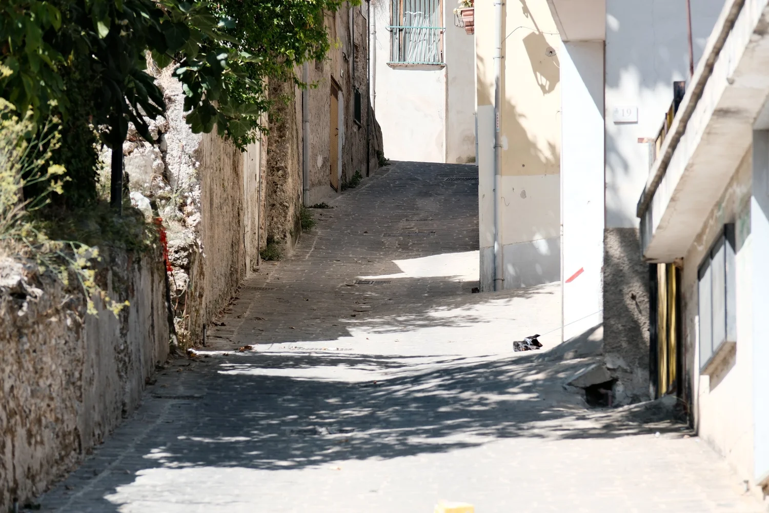 A narrow village lane in afternoon light
