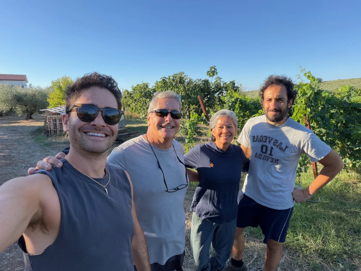Four of the family standing in the vine rows