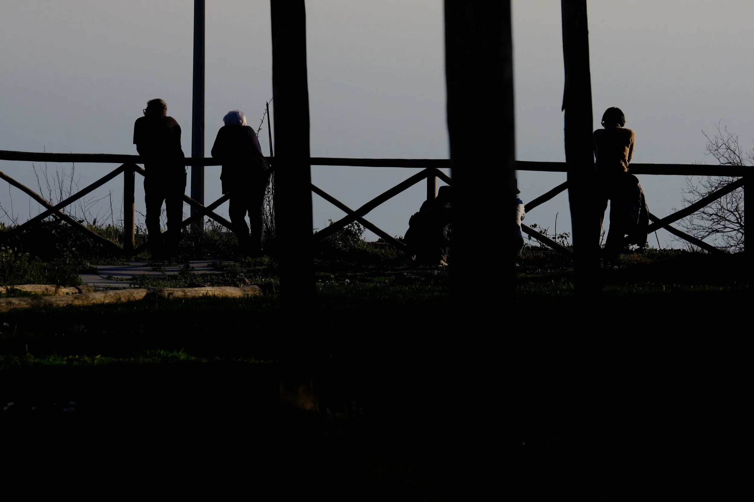 Silhouettes of three people standing on a balcony or deck, looking out towards the horizon, with a cloudy sky and bare tree branches in the background.