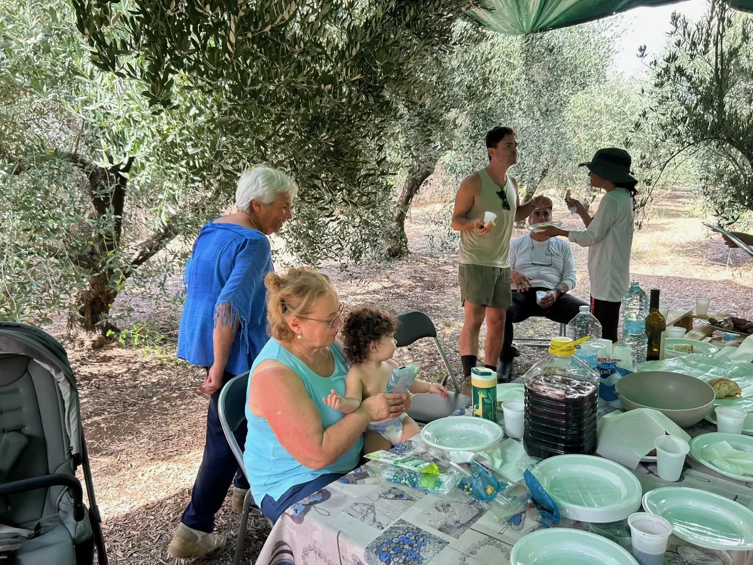 The long harvest lunch table under the olives