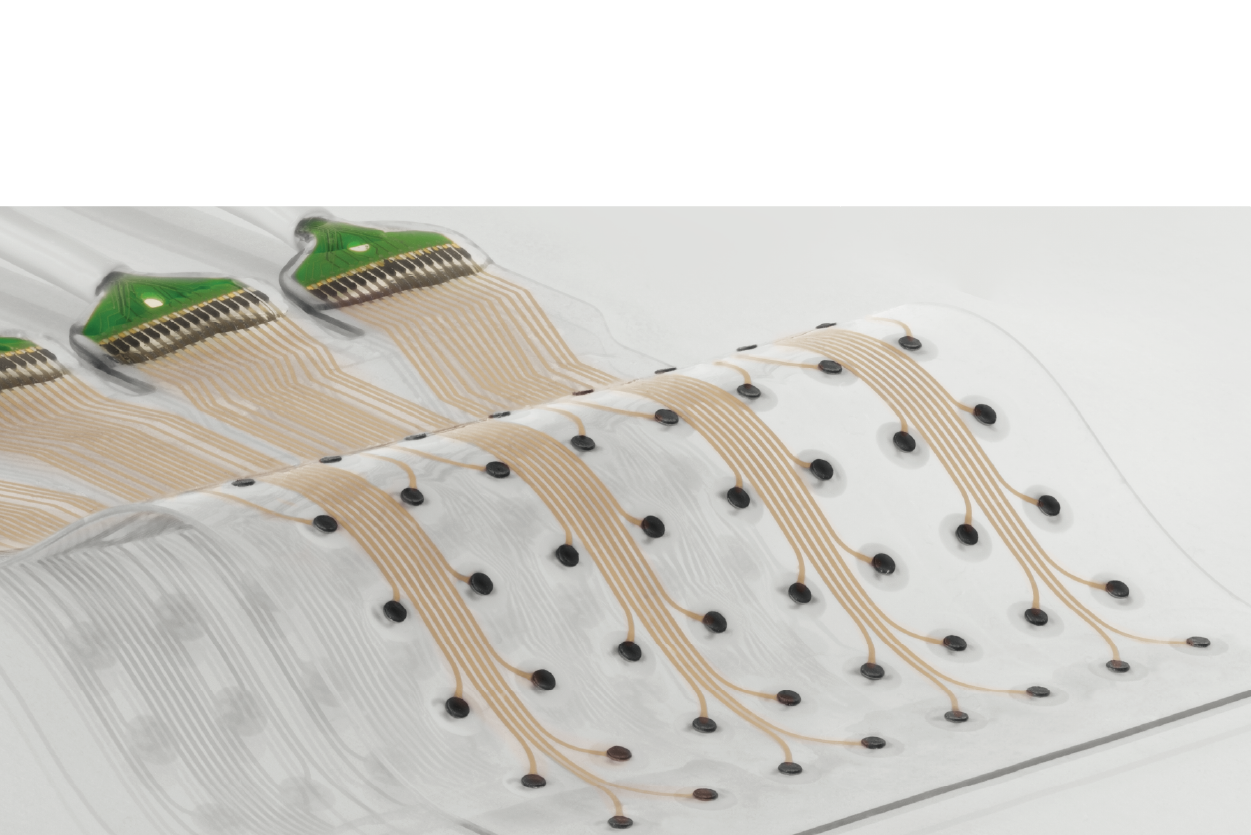 Neurosoft Bioelectronics raises $7.5M for scalable brain-computer interfaces