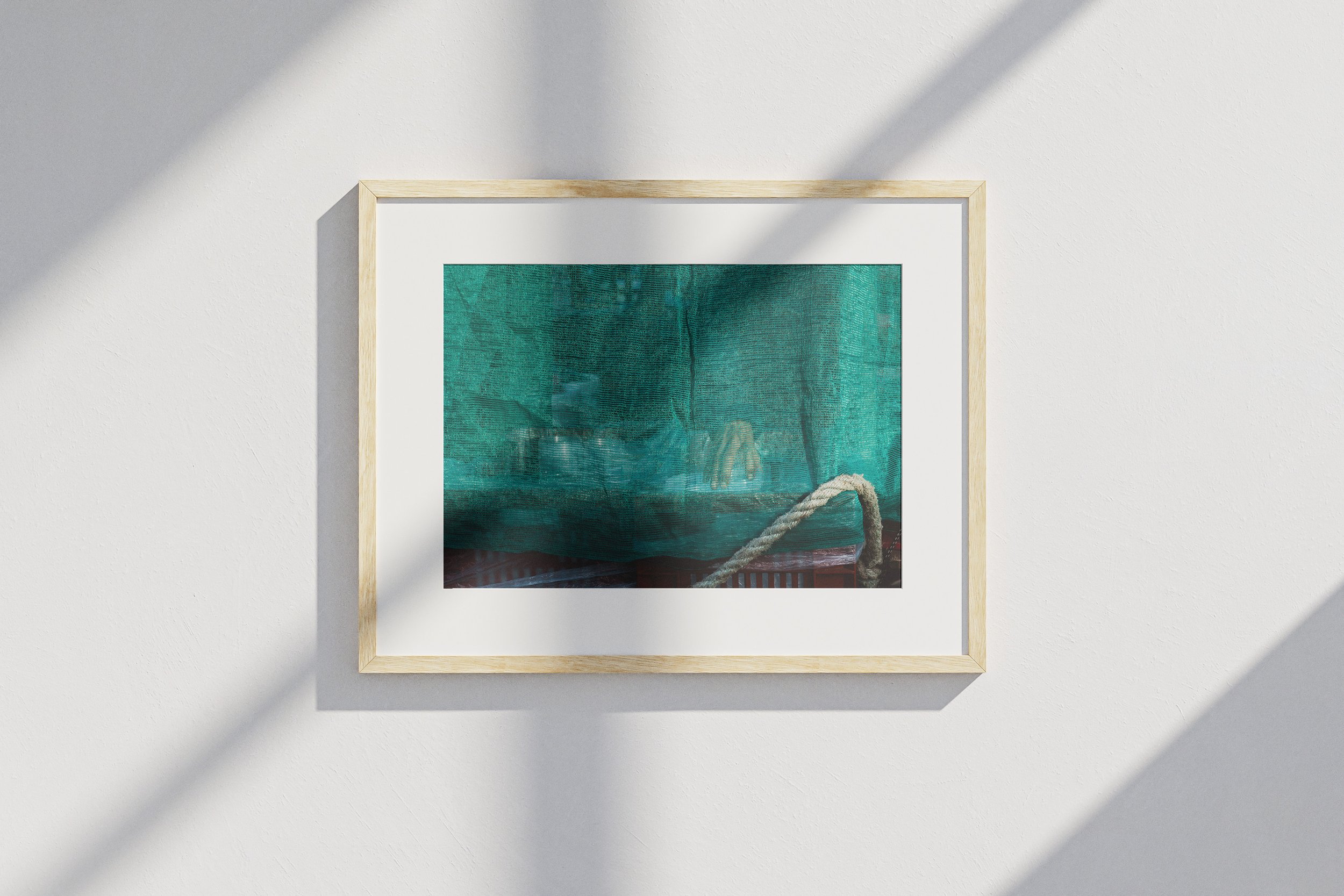 SQ3692043 - Framed.jpg