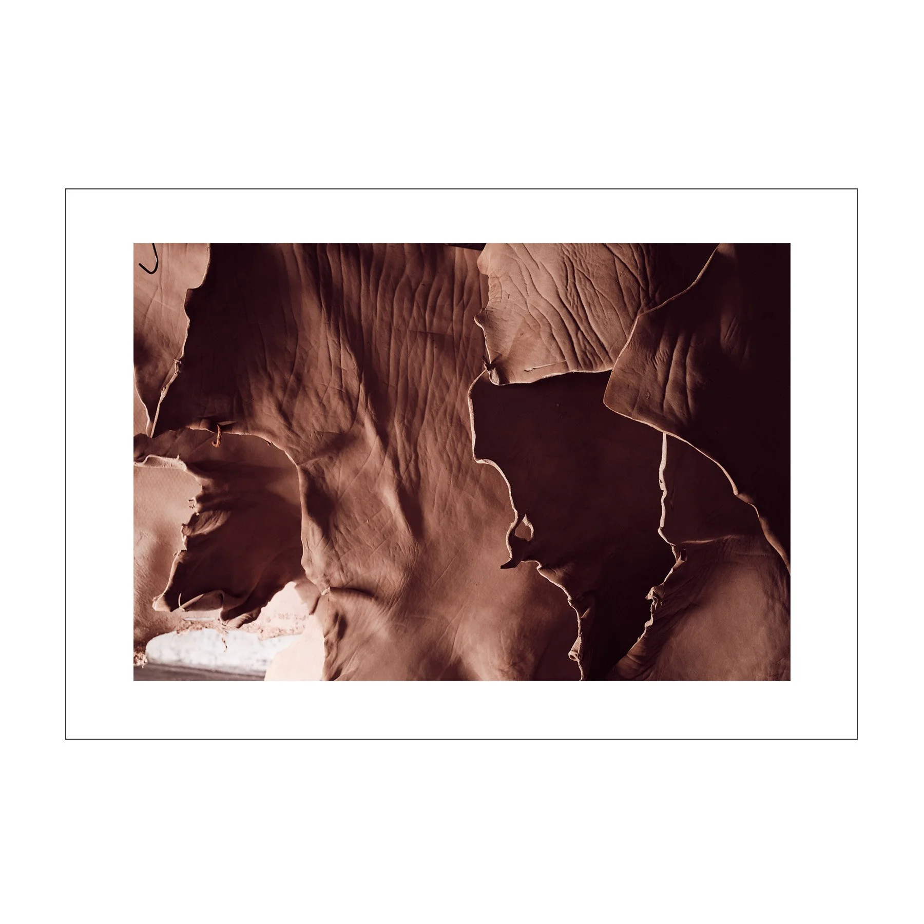 dry_hides_hanging_frame.jpg