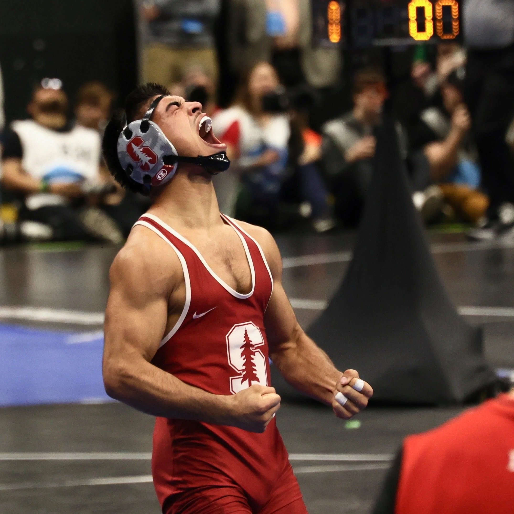 Loving Wrestling Is Not Enough — How Wrestlers Build Motivation 