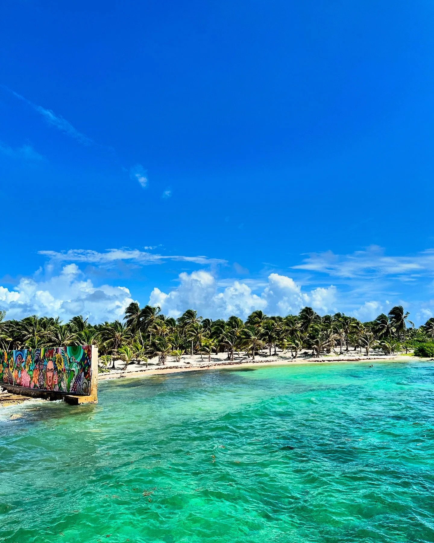 Recapping my first cruise experience with @carnival on the blog today! Check it out😊🚢

Link in bio🤍

#cruise #carnivaljubilee #carnivalcruise #carnival #firstcruise #cruisetips