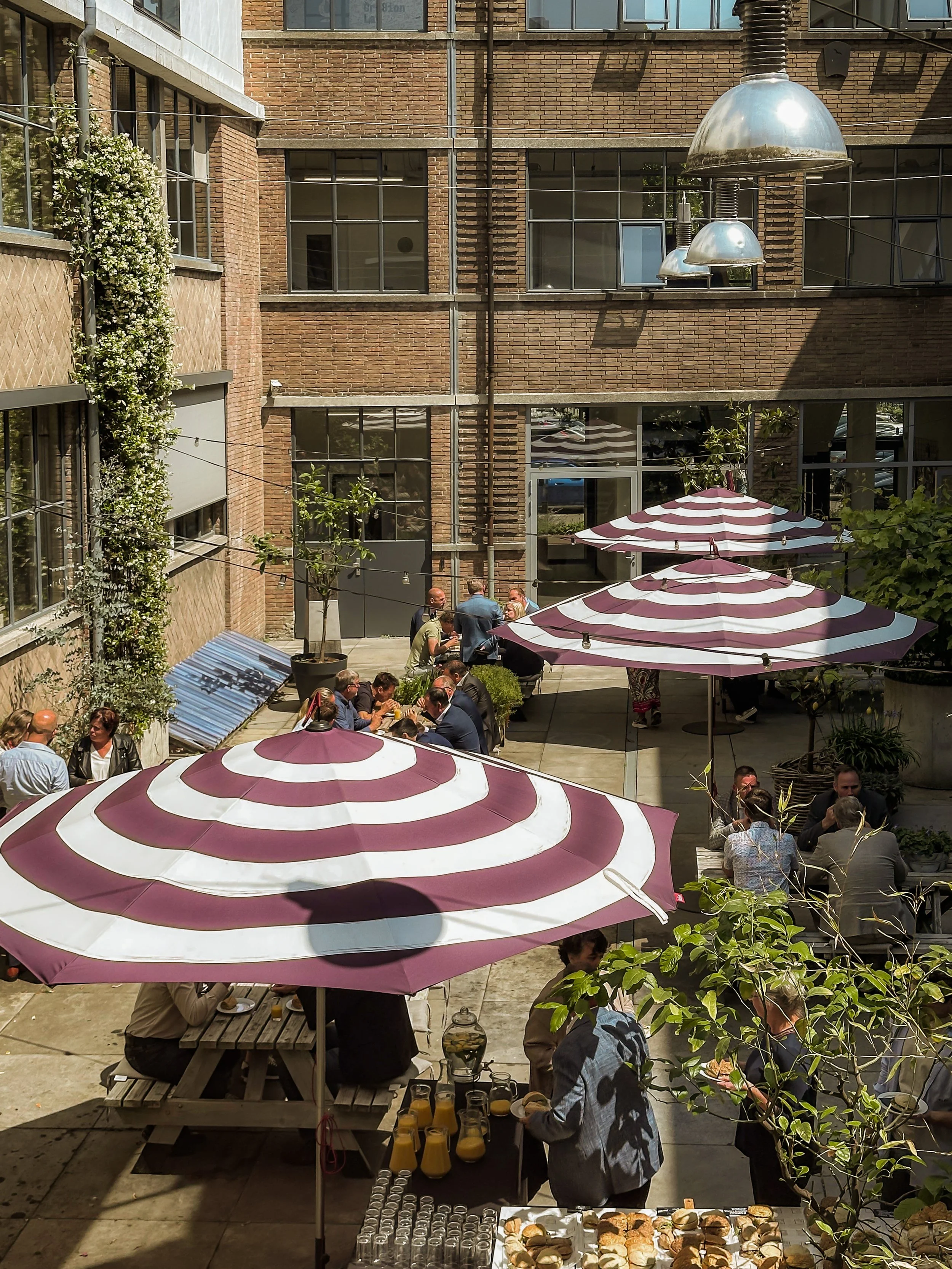 WhatsApp Image 2025-06-24 at 11.58.31.jpg