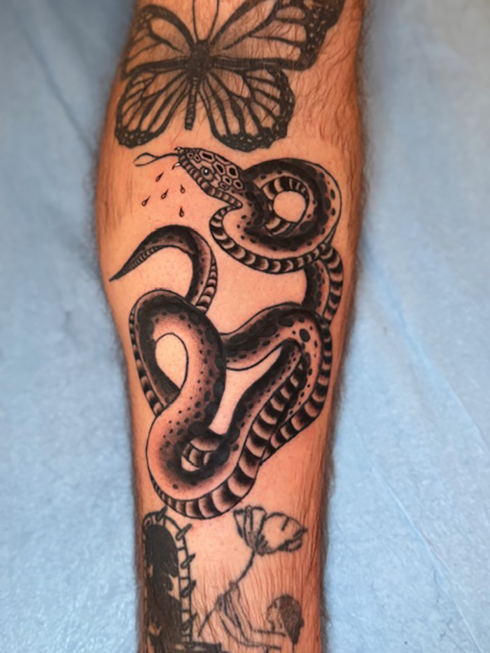 snake gap filler.png