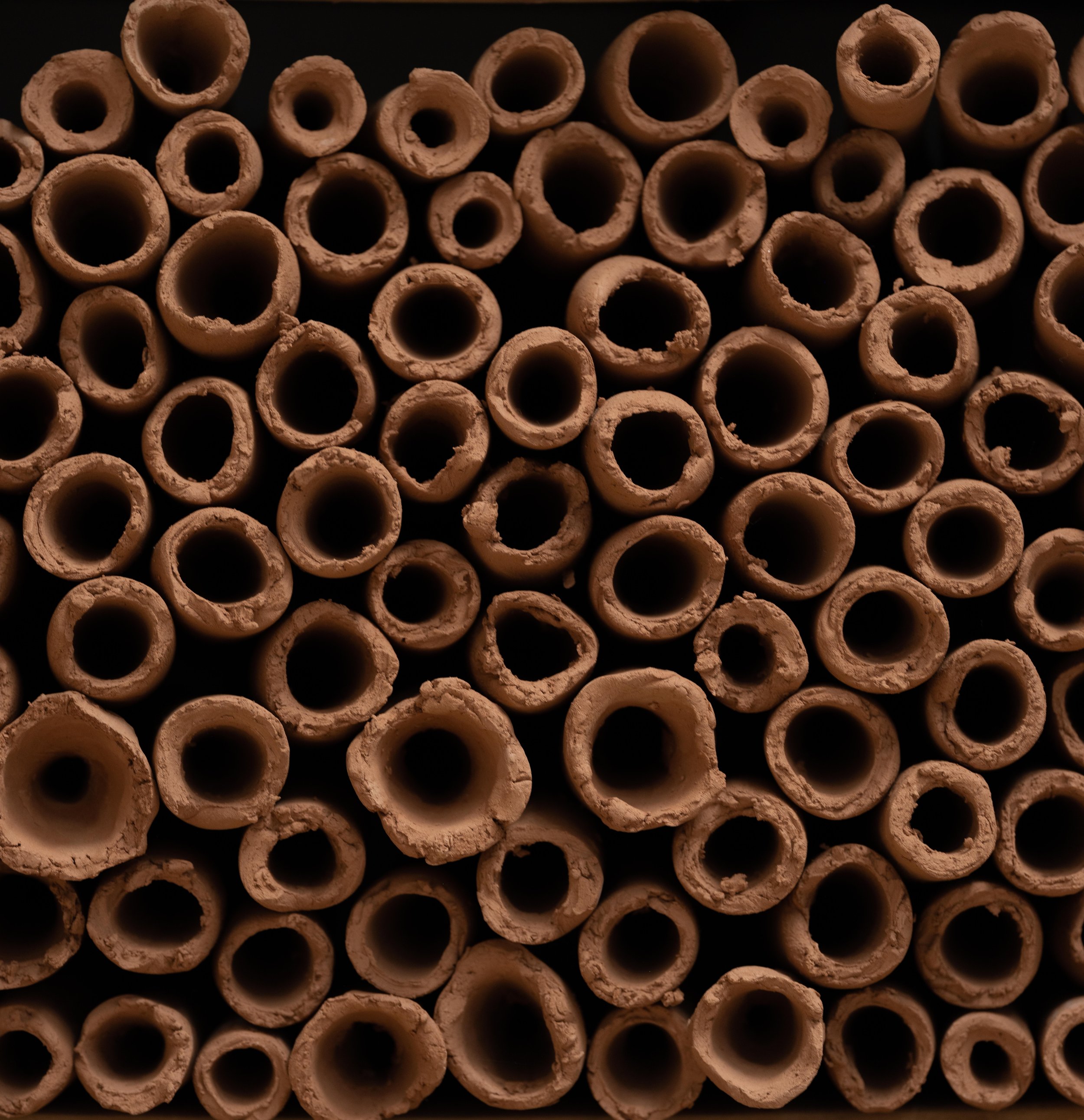 DSCF6819.jpg