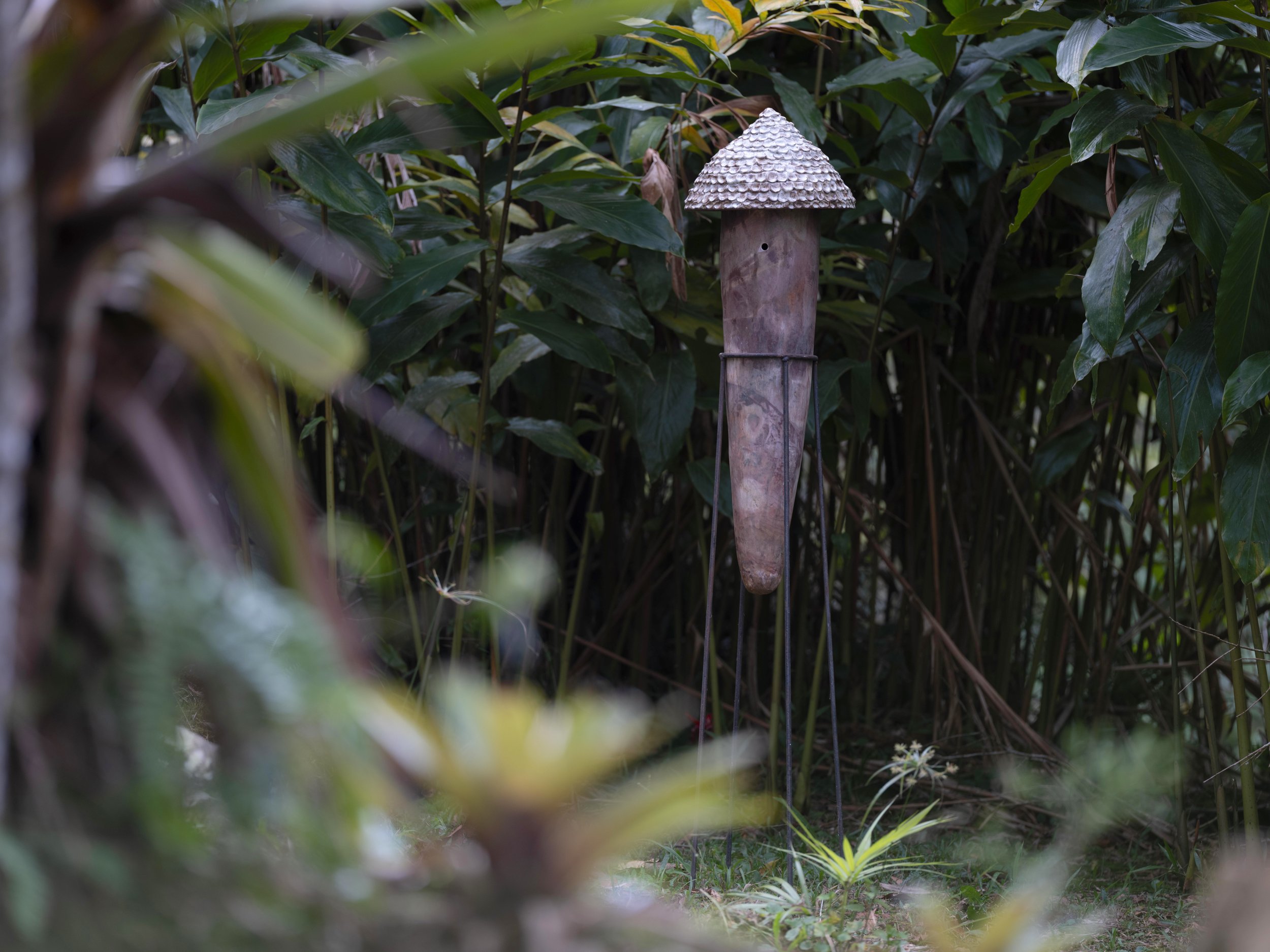 DSCF6910.jpg
