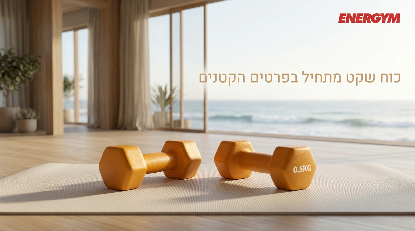 freepik_the-dumbbells-from-the-so_2787966942.png