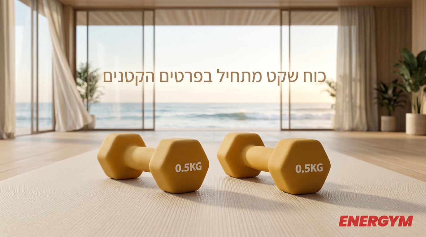 freepik_the-dumbbells-from-the-so_2787964212.png
