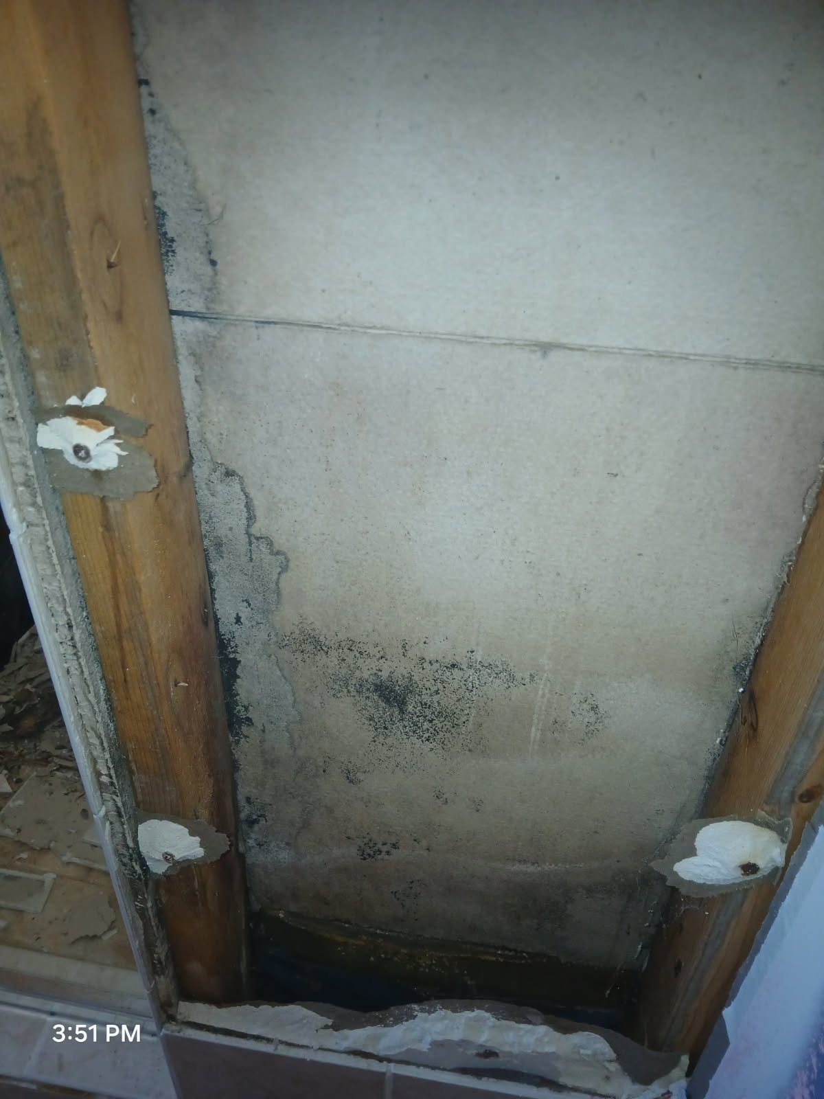 Ceiling with mold and water damage with exposed wood framing and peeling paint.