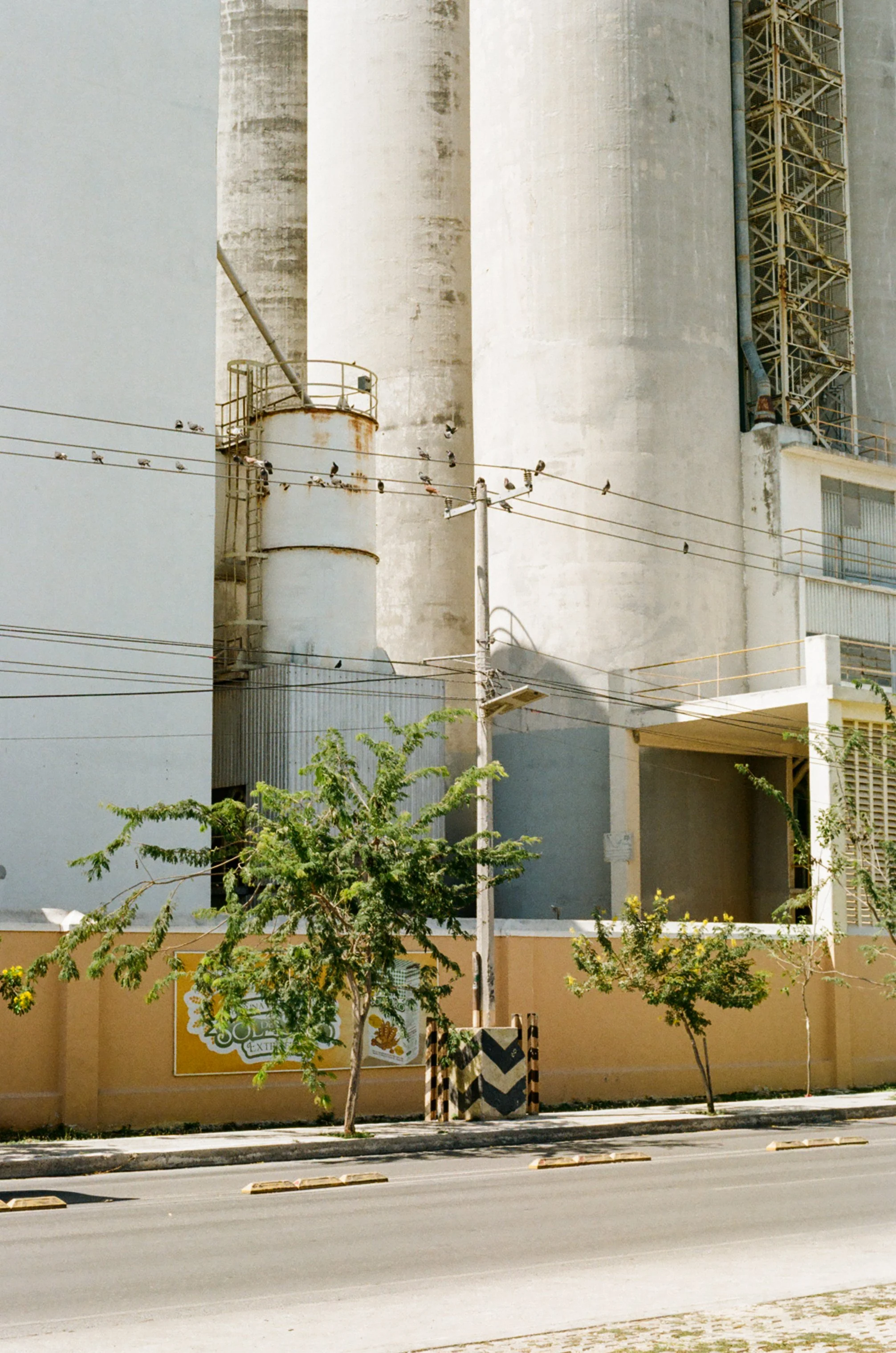 71670016.jpg