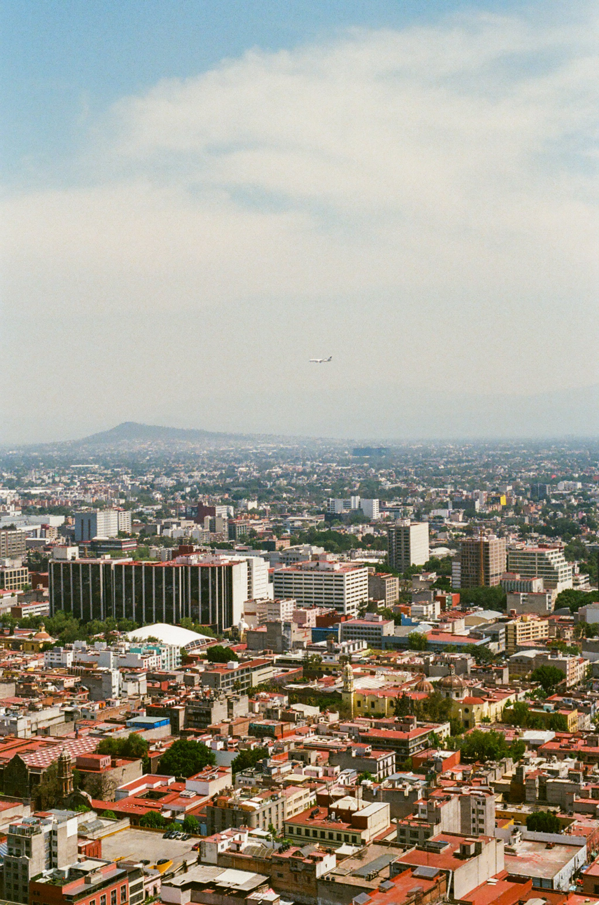 61640026.jpg
