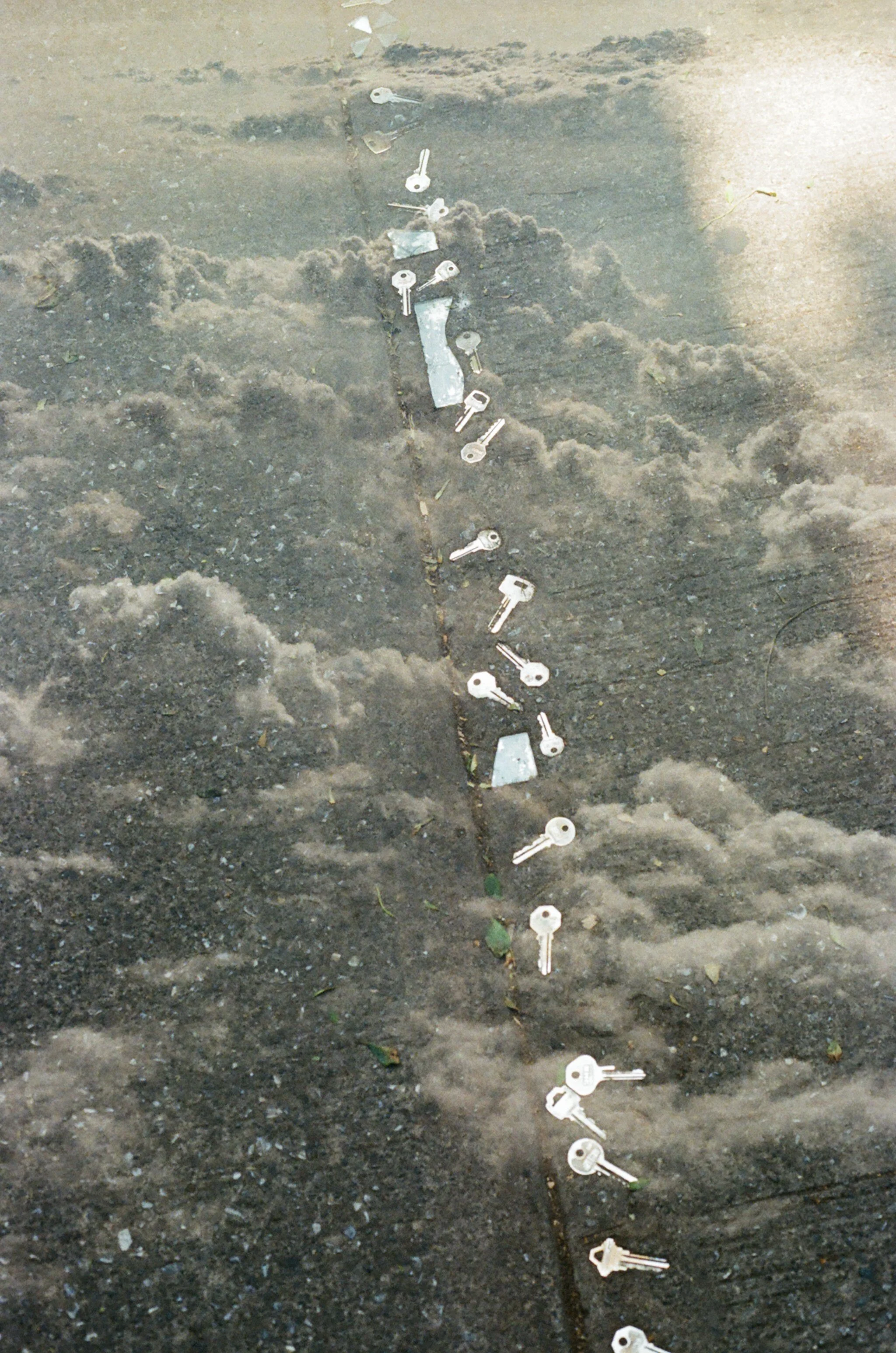 57230015.jpg