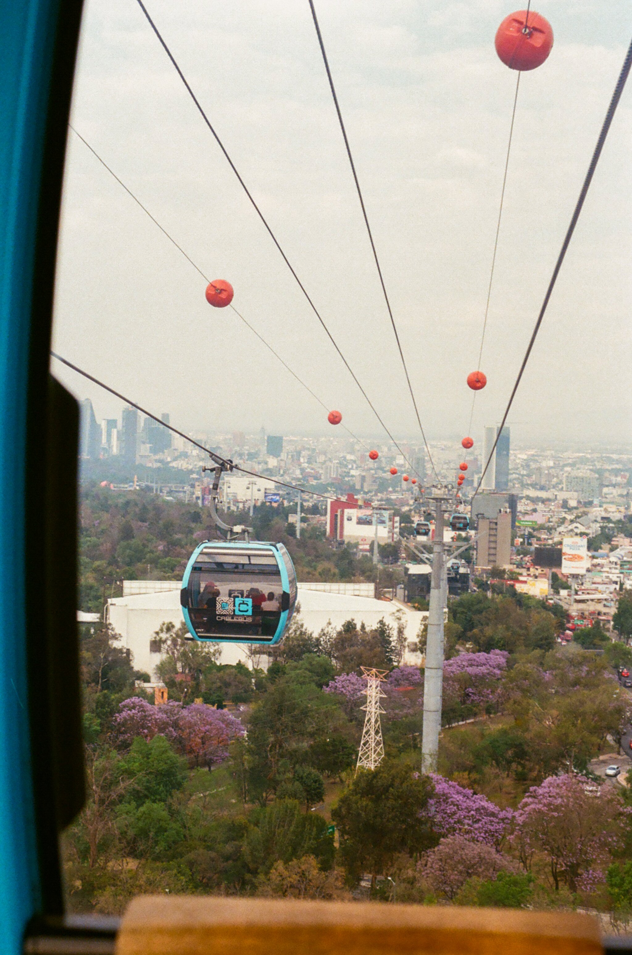 61640018.jpg