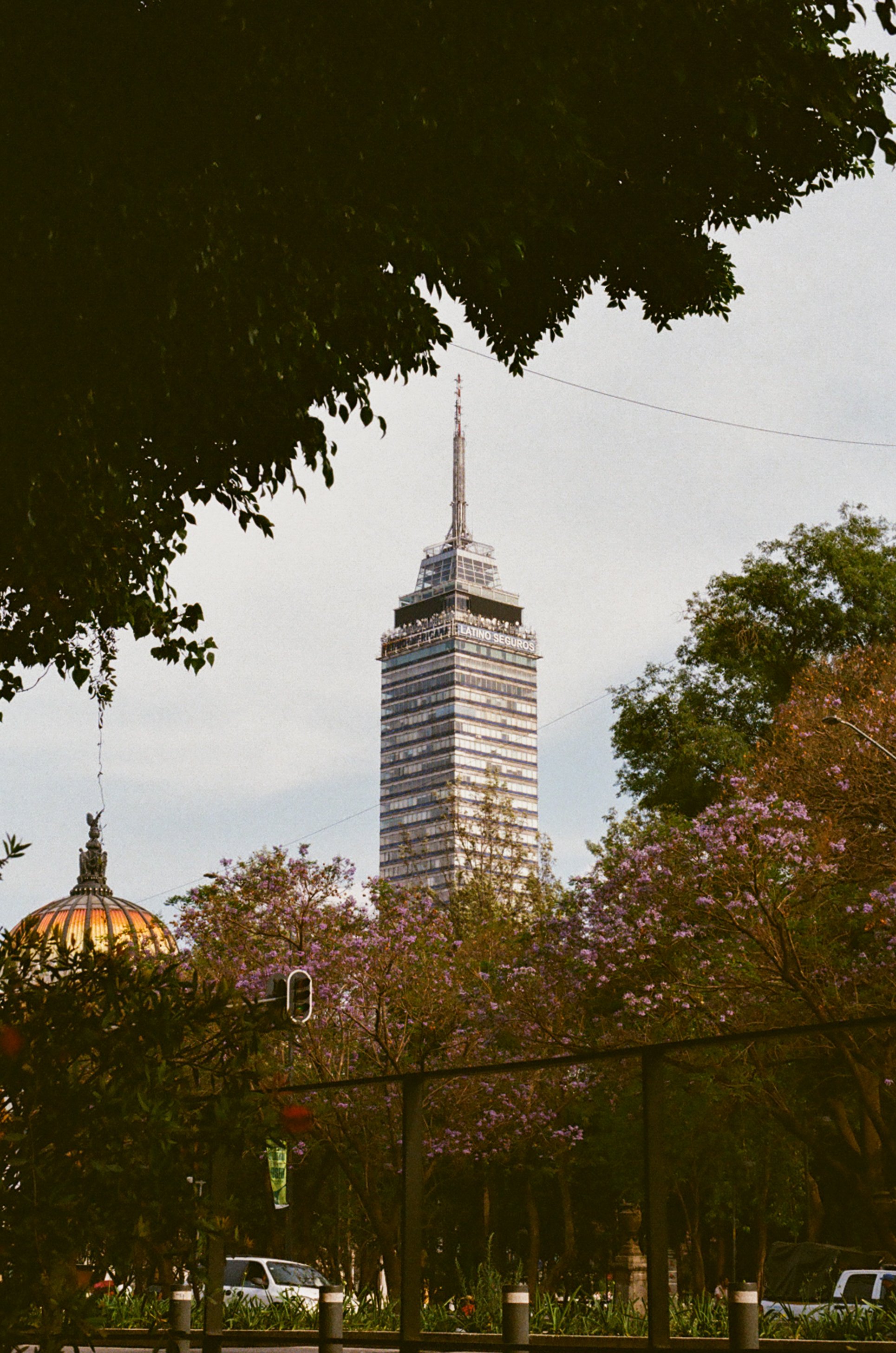 61640028.jpg