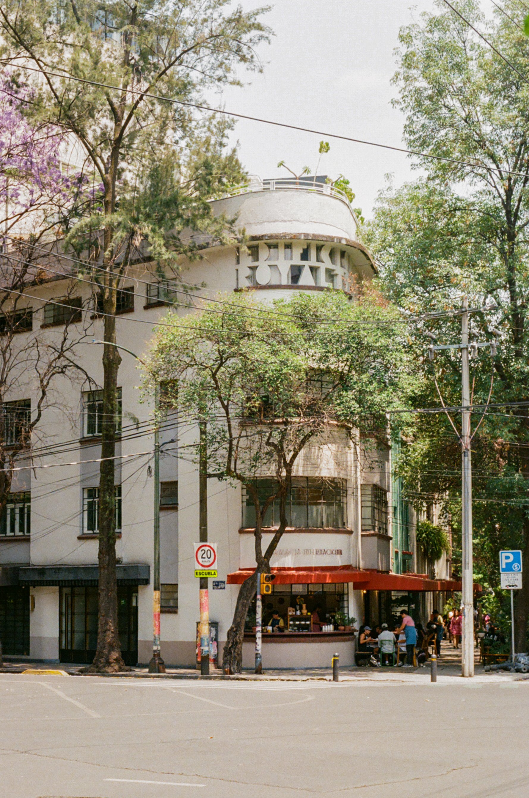 57230016.jpg