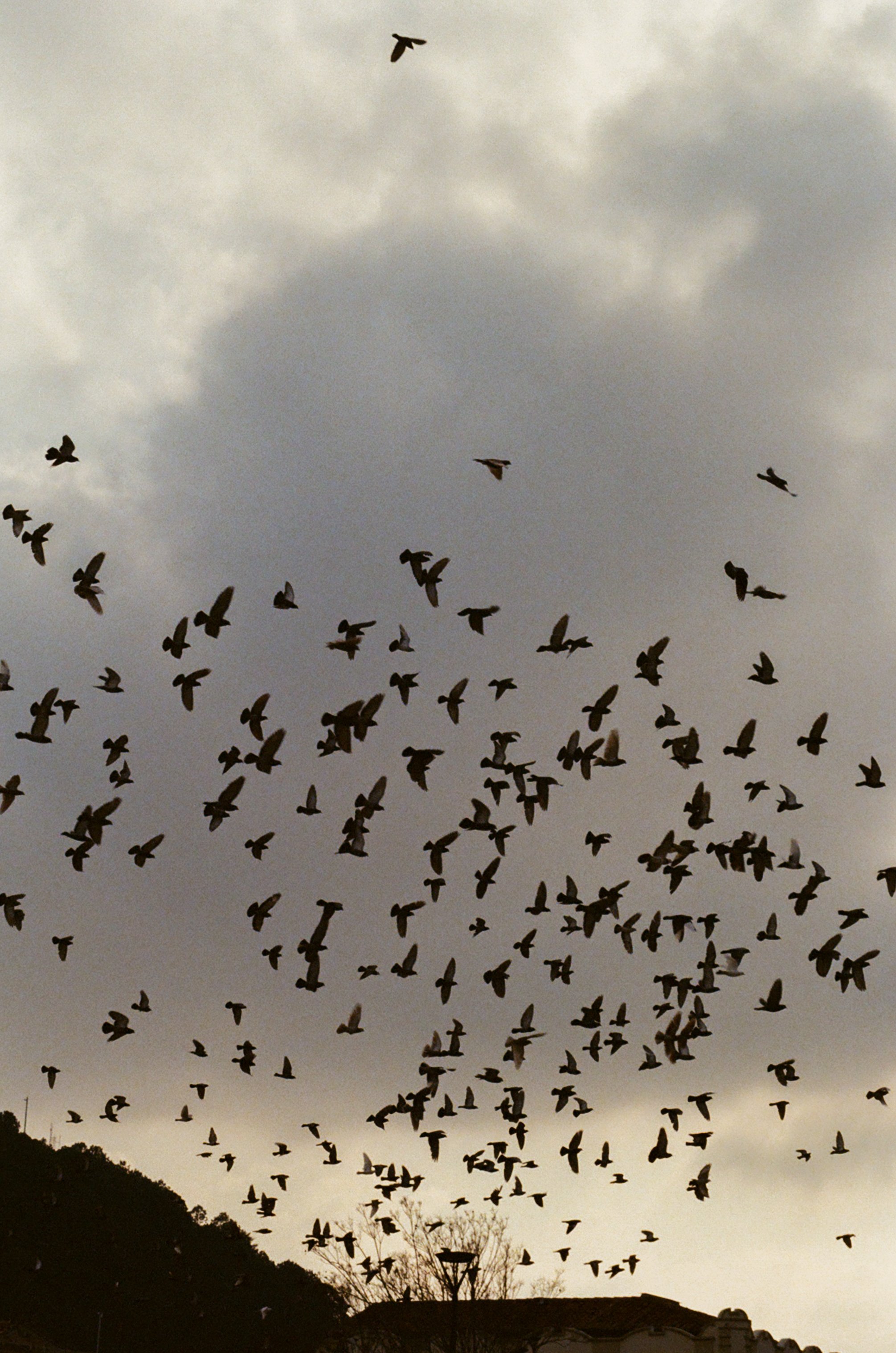 76640027.jpg