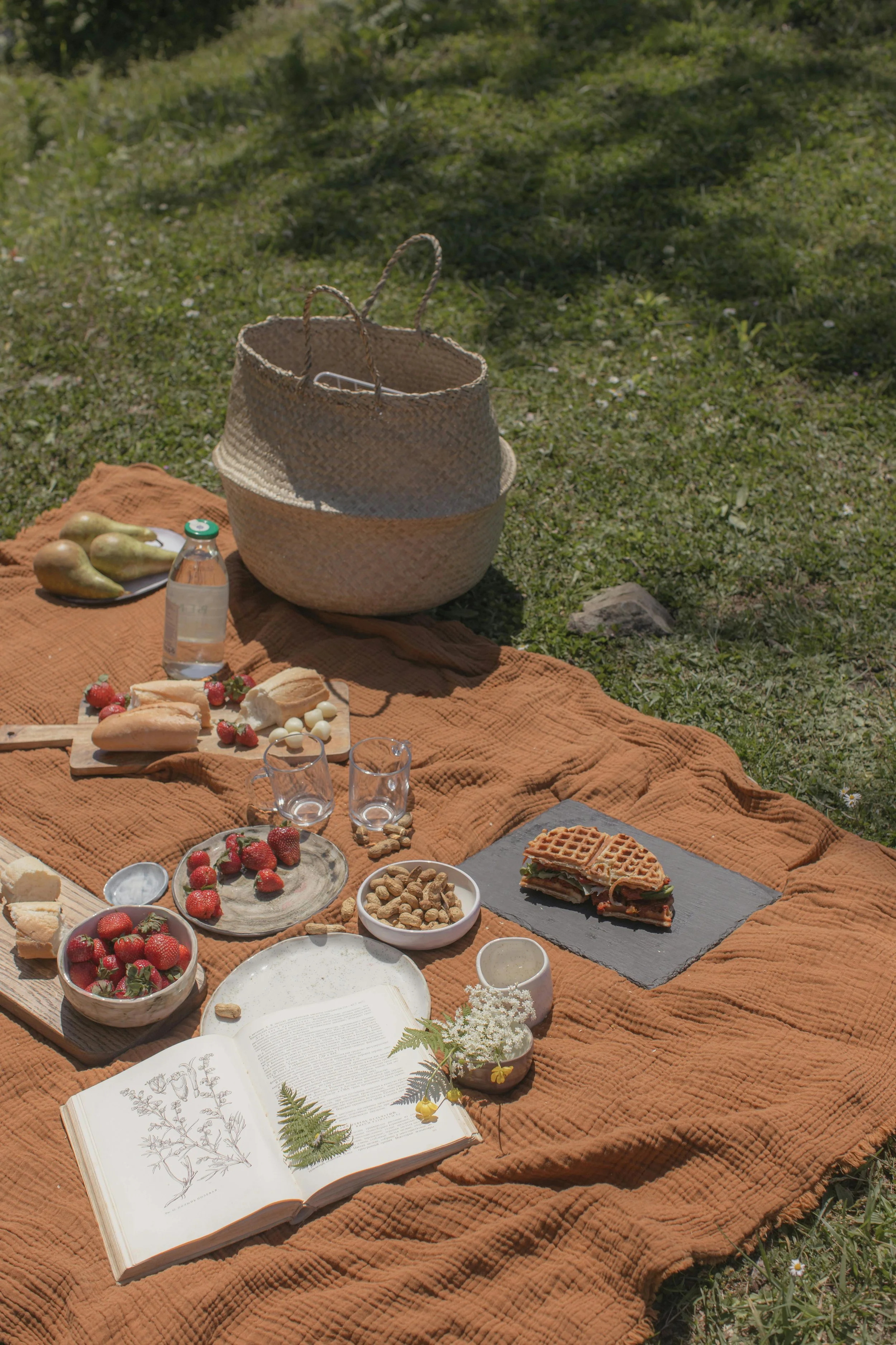 A picnic setup on a brown blanket outdoors featuring strawberries, sandwiches, waffles, nuts, a book, a water bottle, glasses, and decorative flowers.