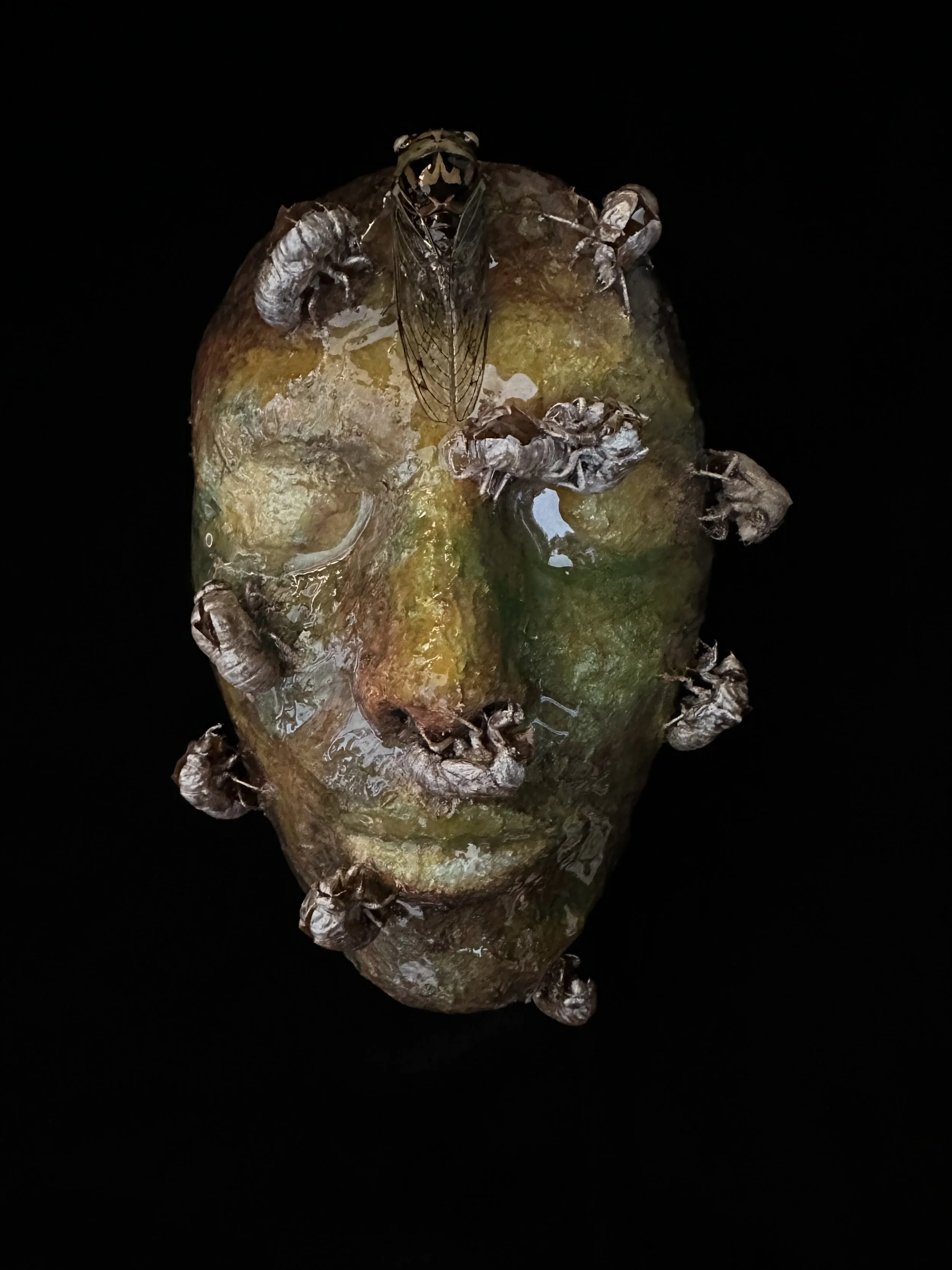 "Emerging", Laura Nelsen, papier-mâché clay, cicada nymph shells, adult cicada, acrylic paint and resin, 8.5"x5.5"x3.5", 2026. [SOLD}