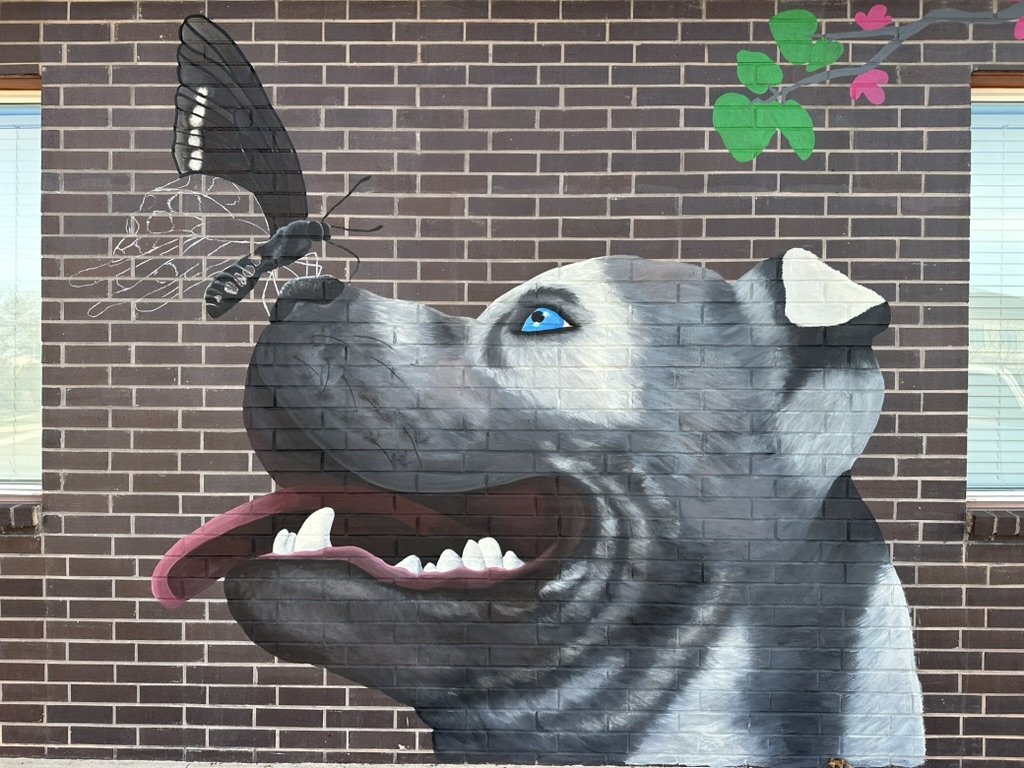 5908EDA6-71F3-4DD9-97B1-569447E9A9A9_1_105_c.jpeg
