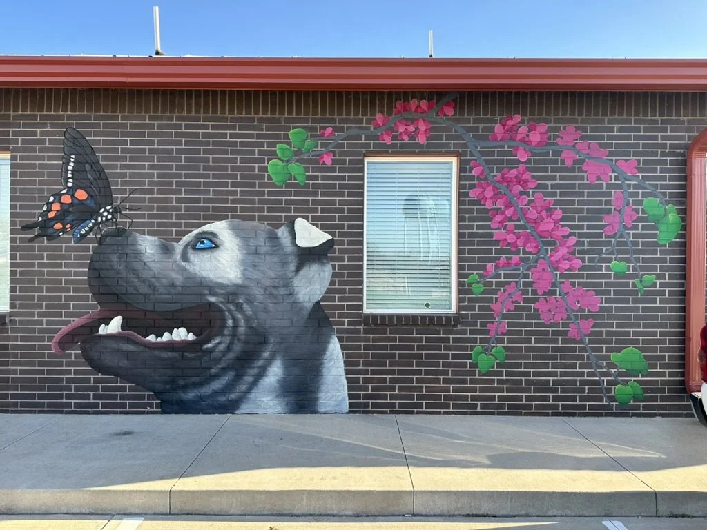 9F26462F-C0FA-4BBA-A9D5-BB14385811CA_1_105_c.jpeg