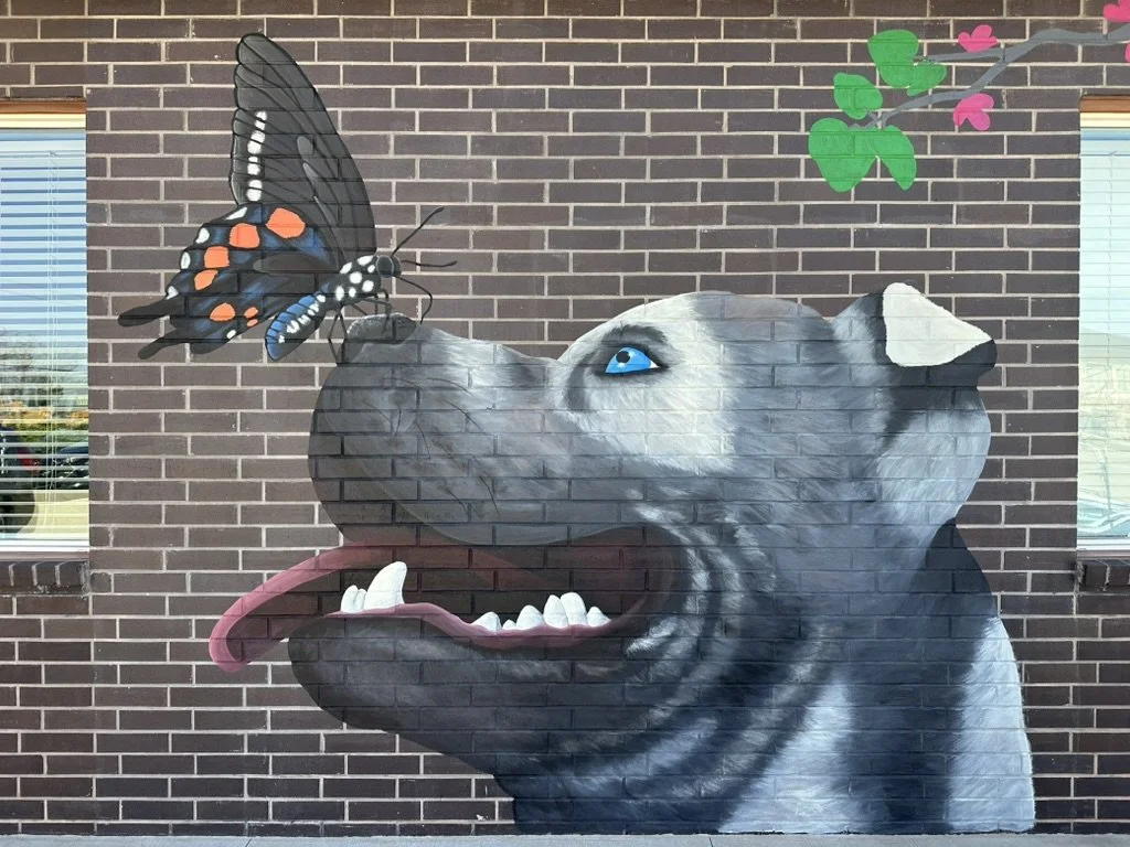 E367B64B-58DE-4AC4-8539-A035037D660E_1_105_c.jpeg