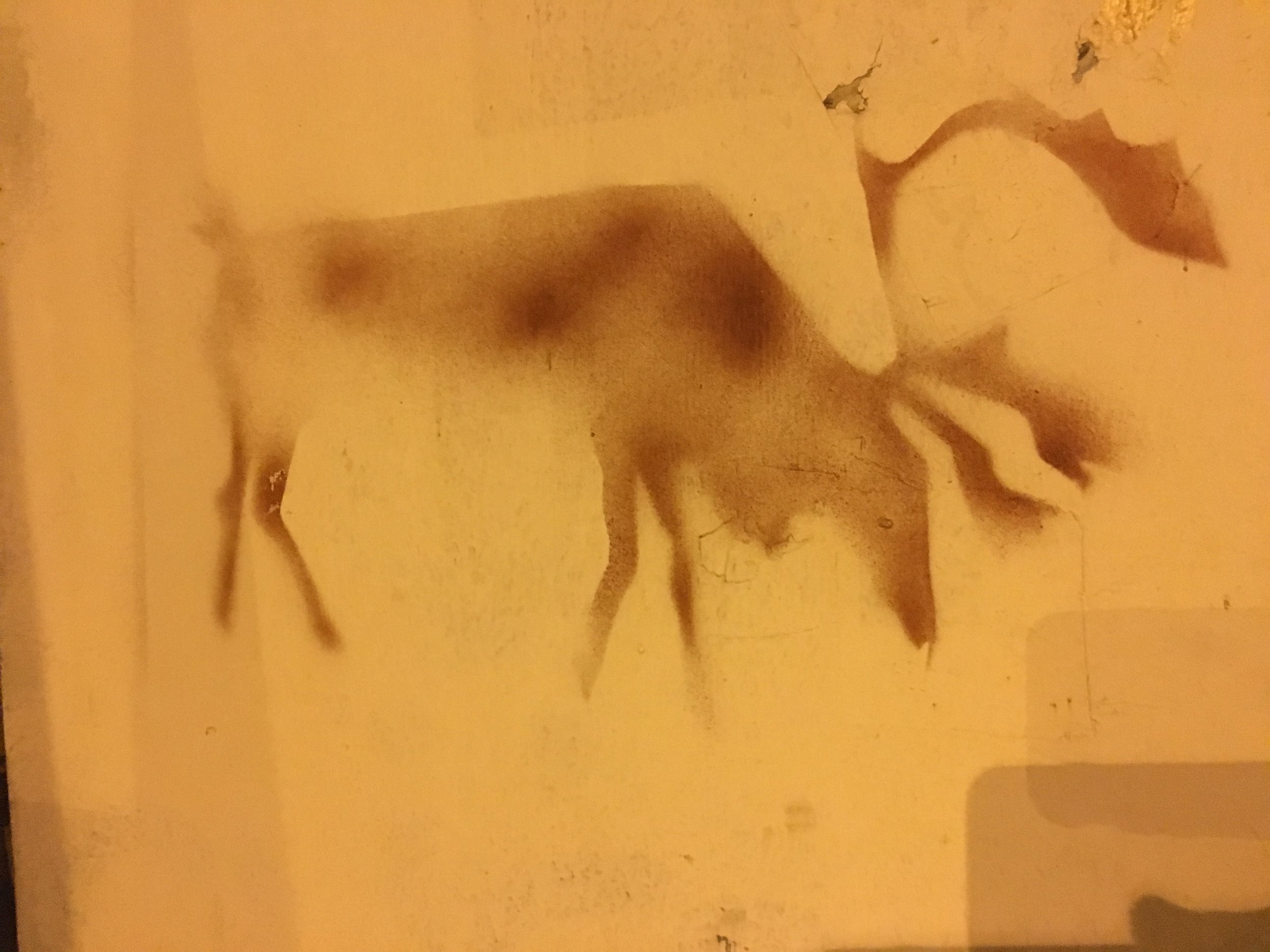 imanhattan mooseIMG_0855.JPG