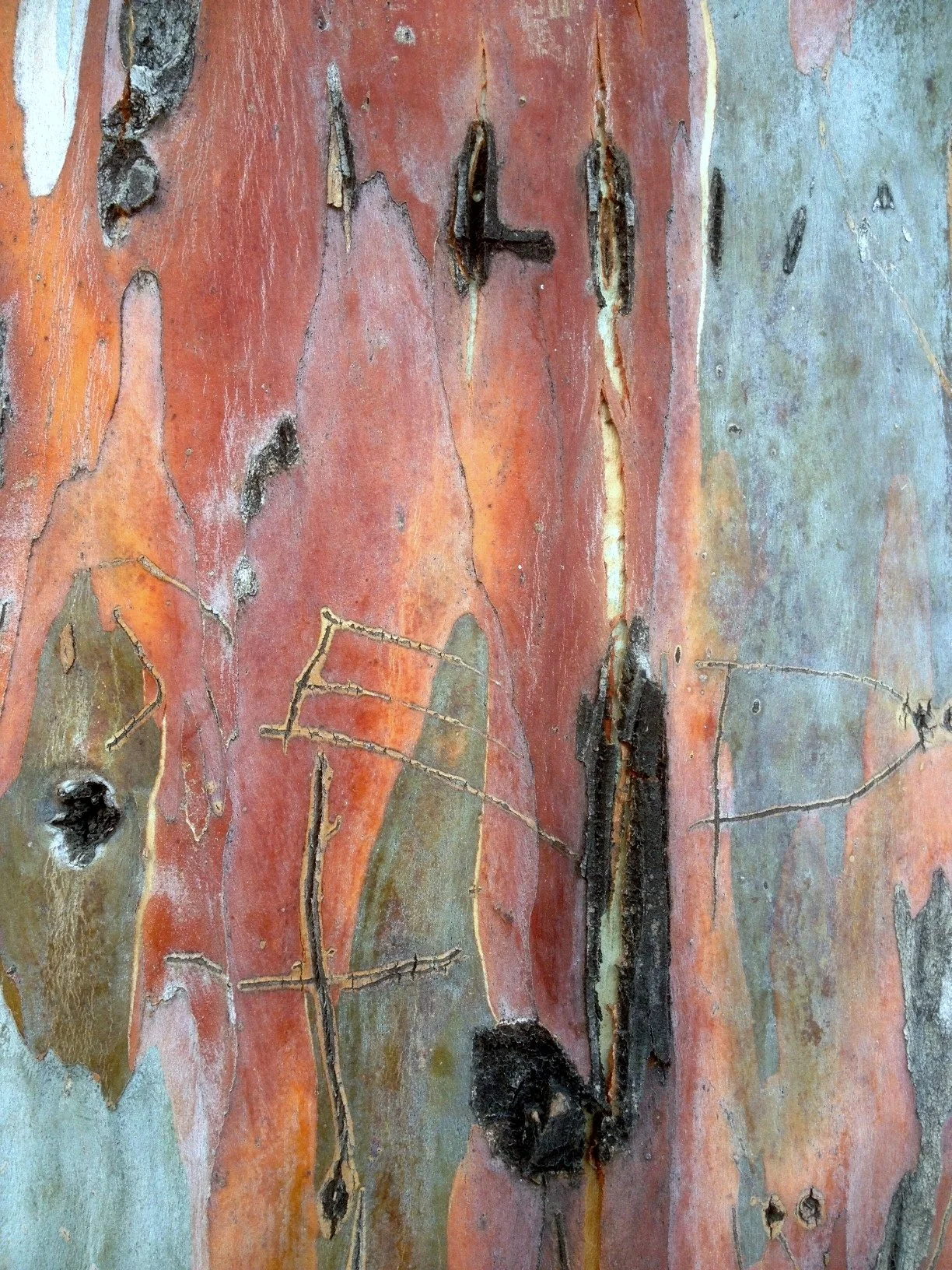 desecrated beauty.JPG