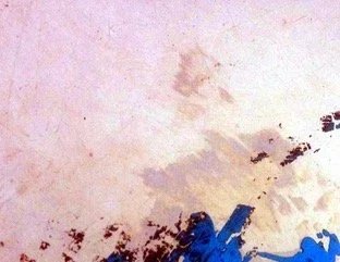 bottom pfishing.jpeg