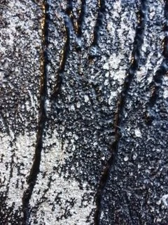 rust-snowy trees.jpeg